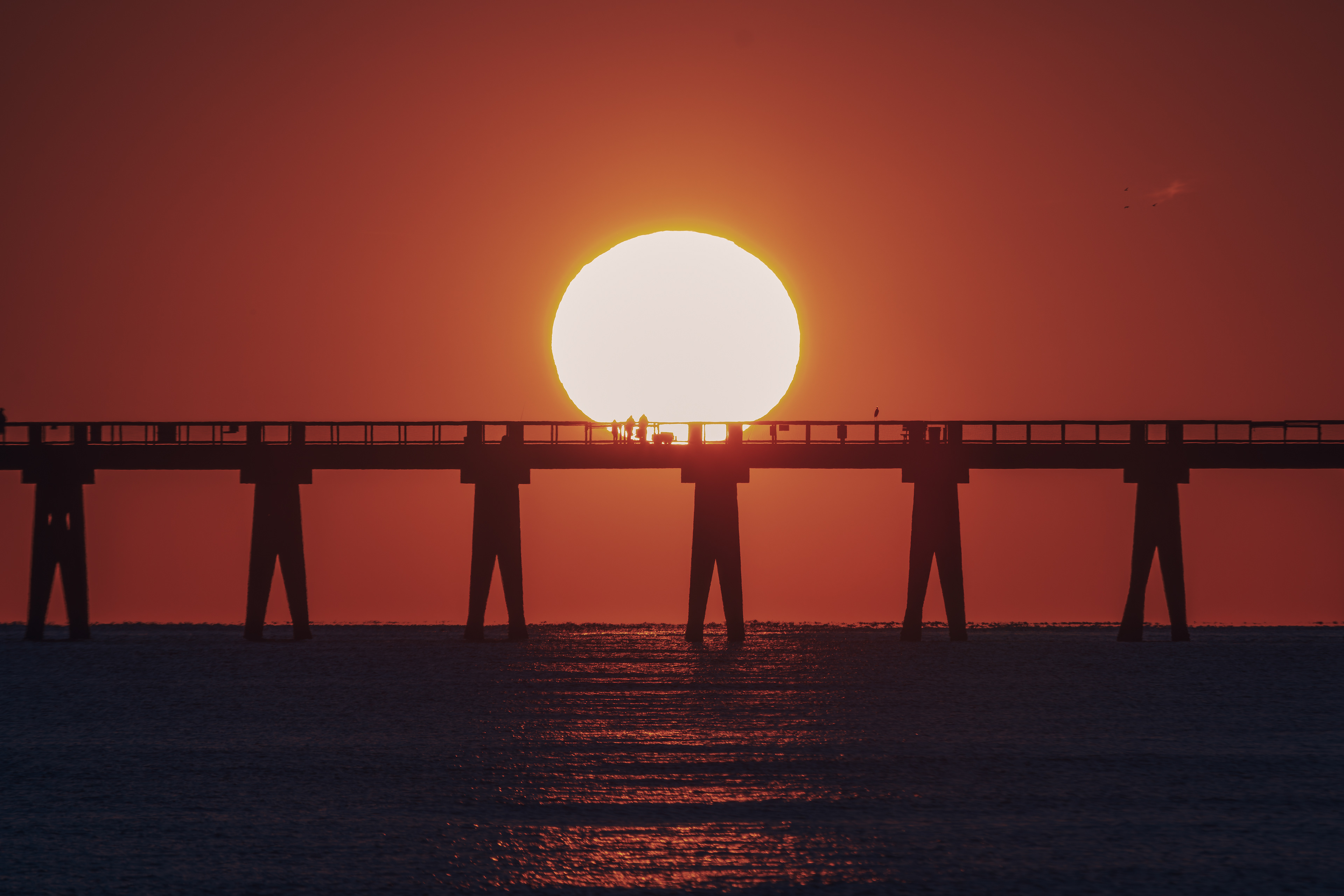 Sunset Watch, Digital Photograph, Jan 18, 2026