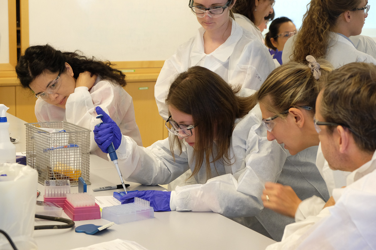 3M Environmental Monitoring, 2019