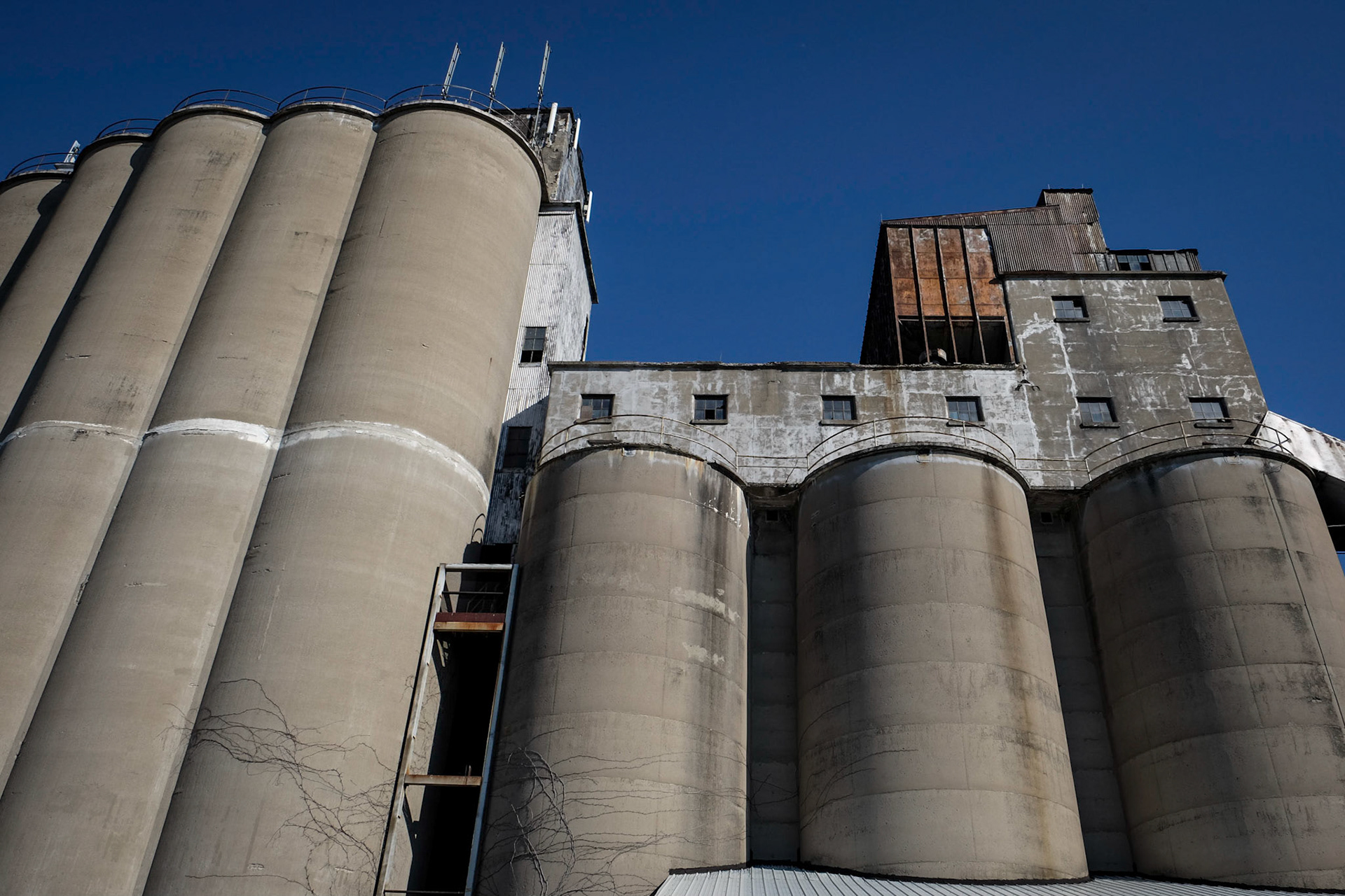 Old Malt Plant, Sodus Bay, NY