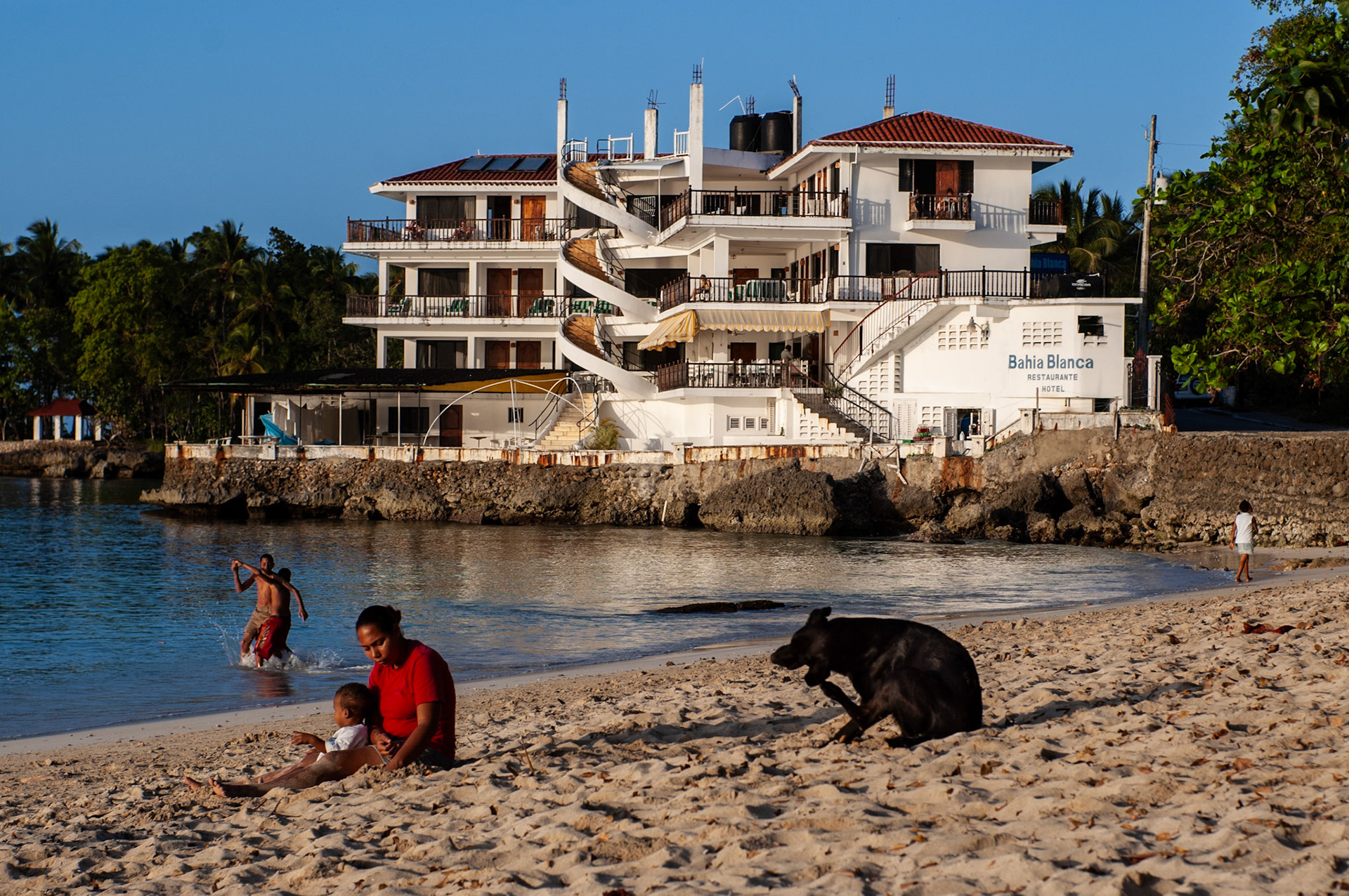 Dominican Republic Dog Beach