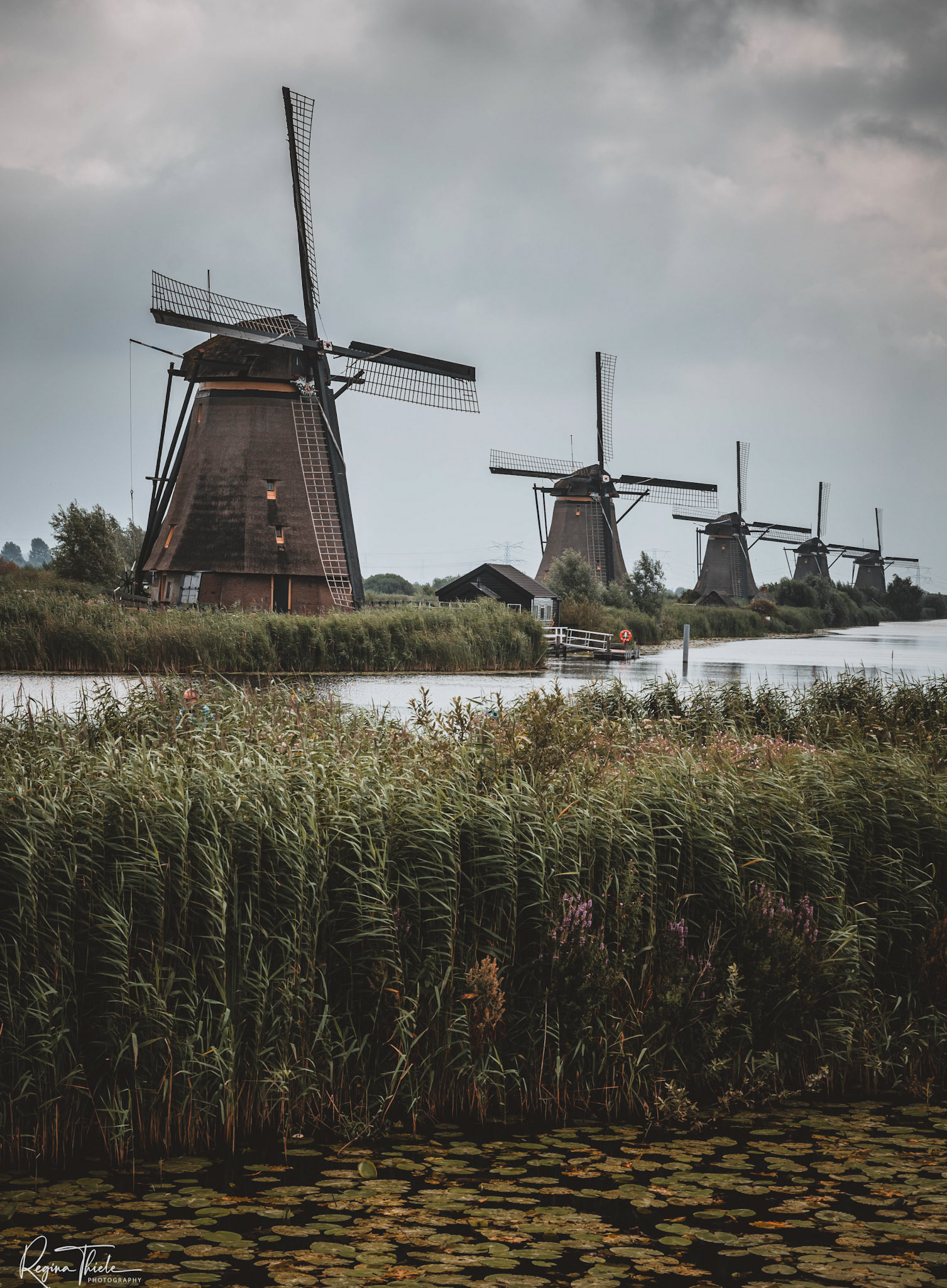 Kinderdijk / Niederlande
