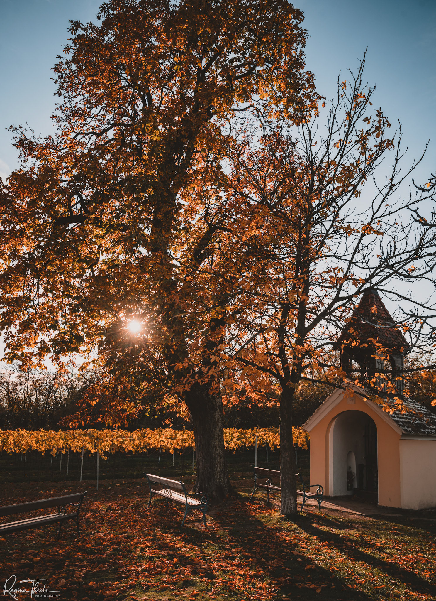 Weinviertel / Österreich