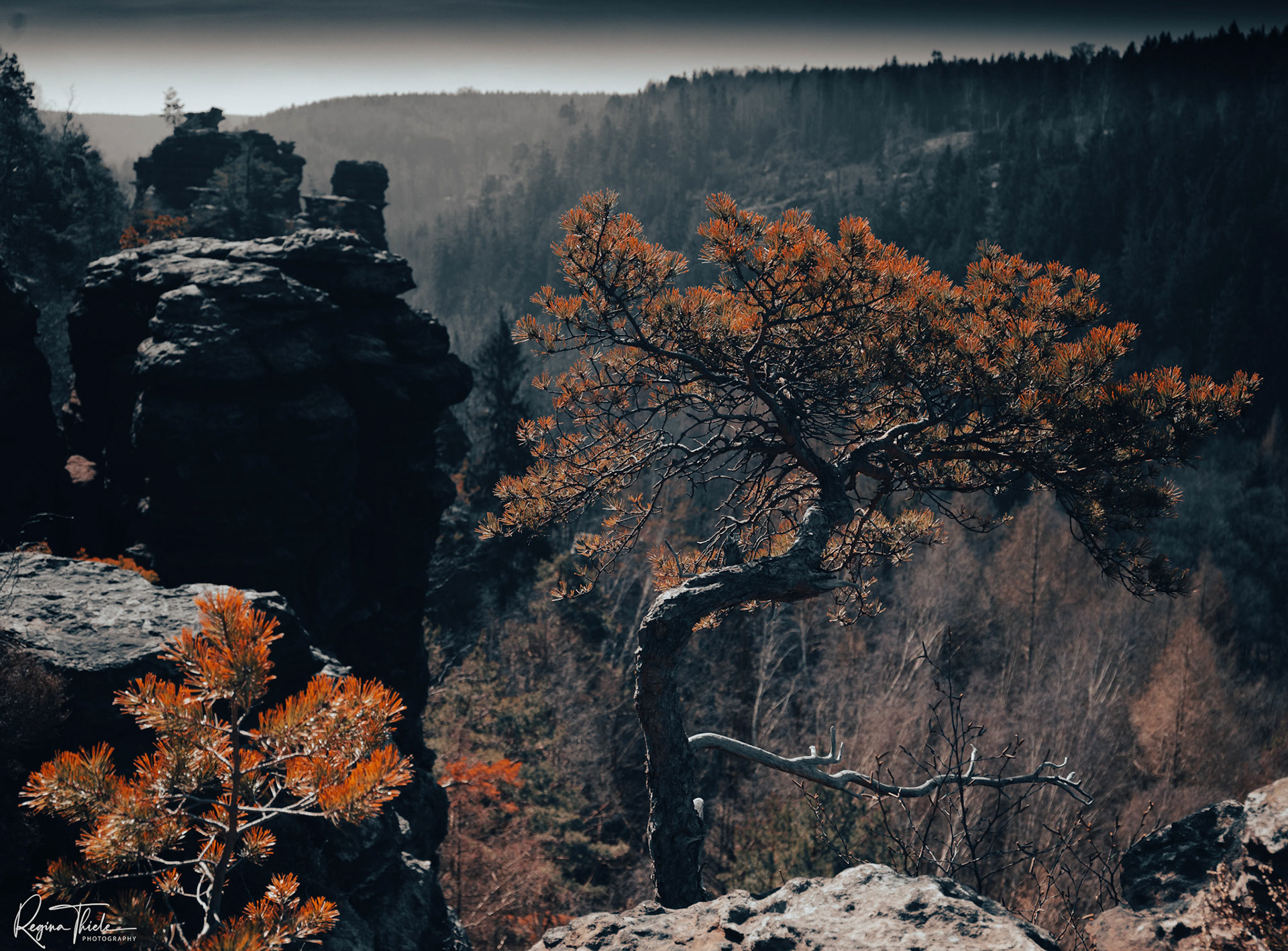 Herkulessäulen Sächsische Schweiz / Deutschland