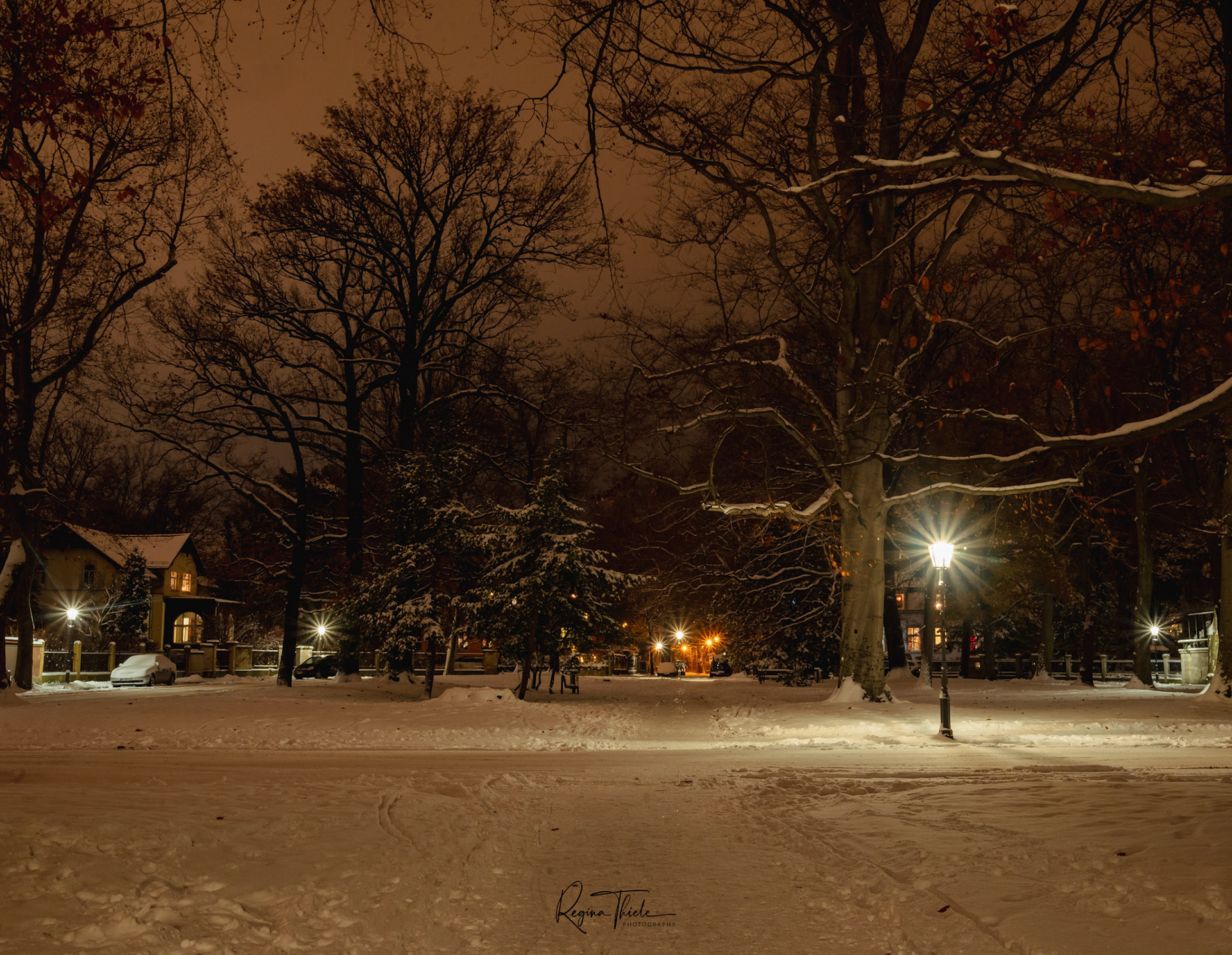 Dresden-Striesen / Deutschland