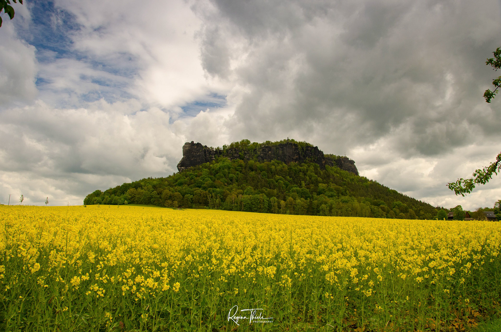 Lilienstein, Sächsische Schweiz / Deutschland