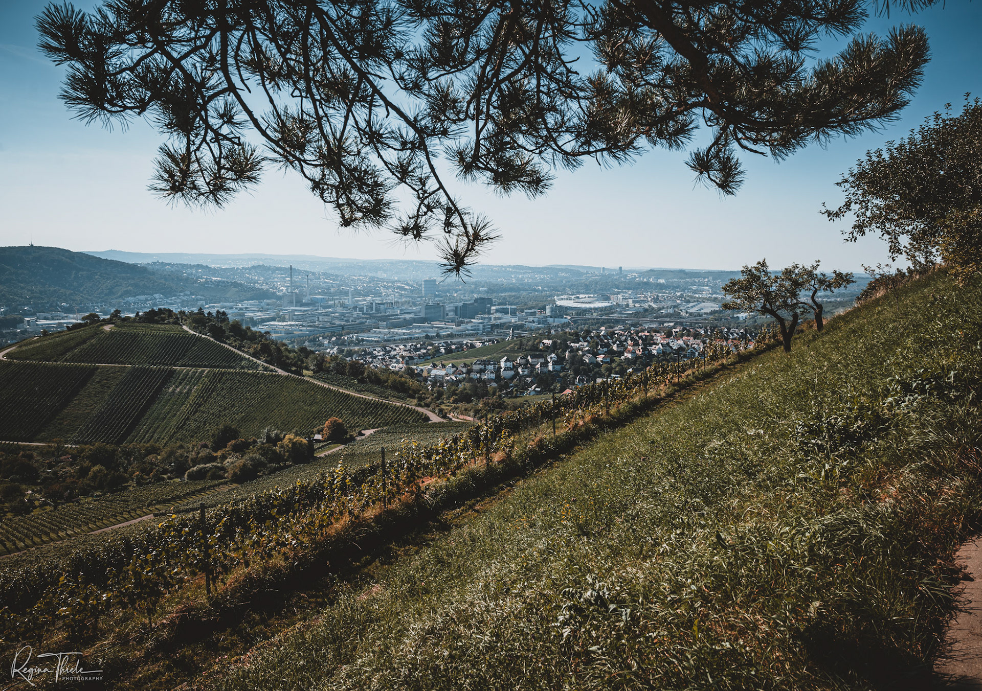 Weinberge Stuttgart / Deutschland