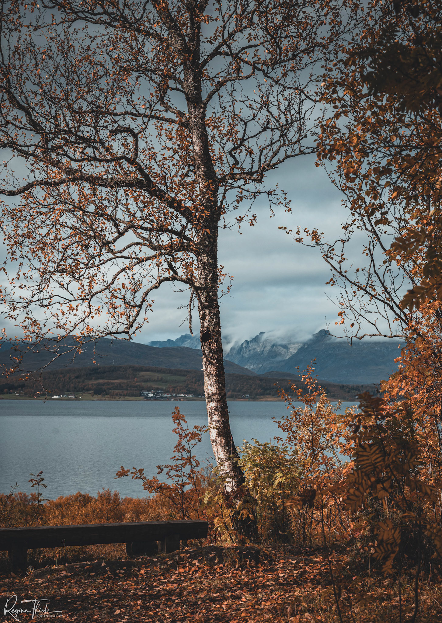 Tromsö Insel / Norwegen