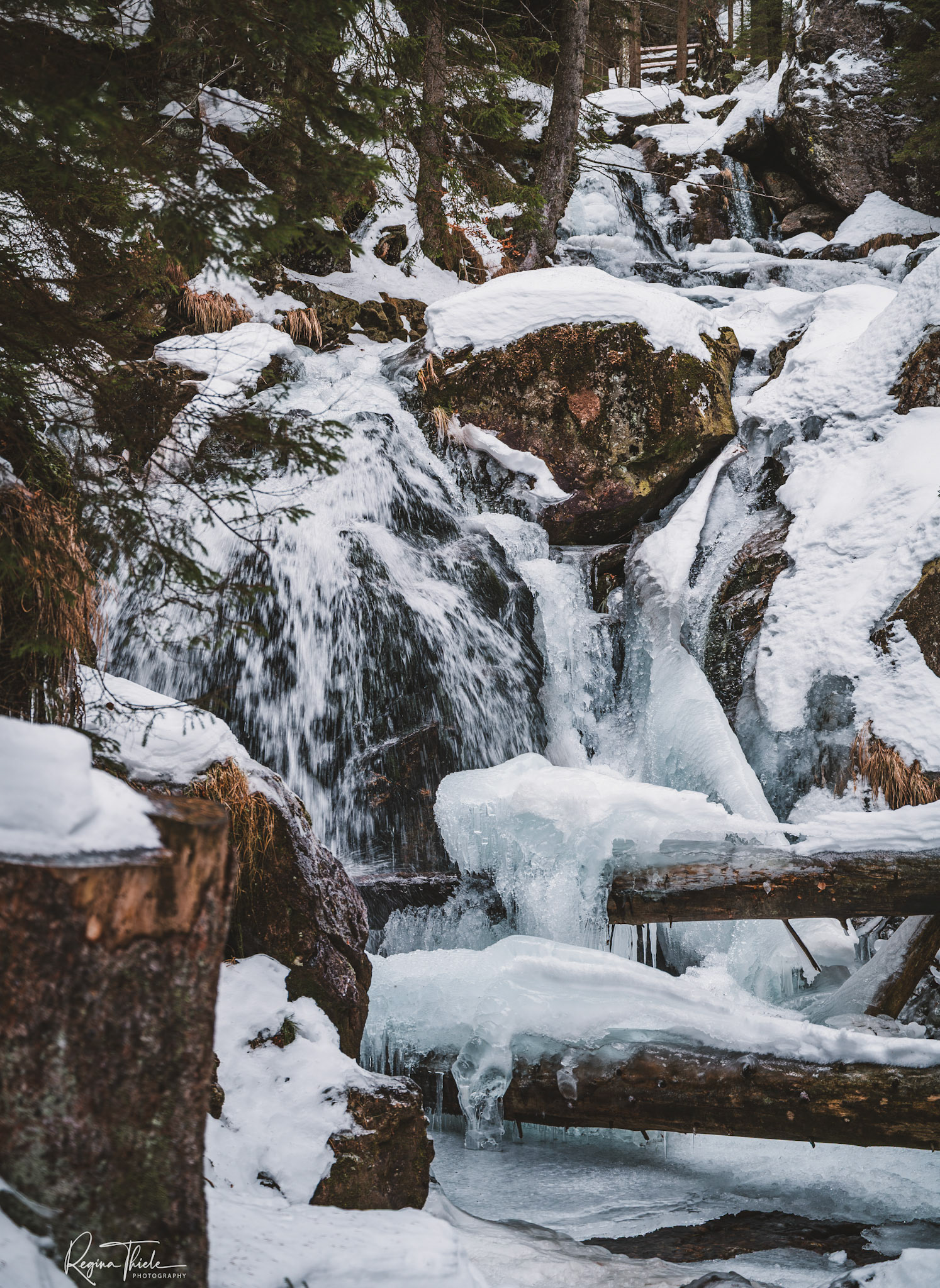 Rieslochfälle 1 / Deutschland