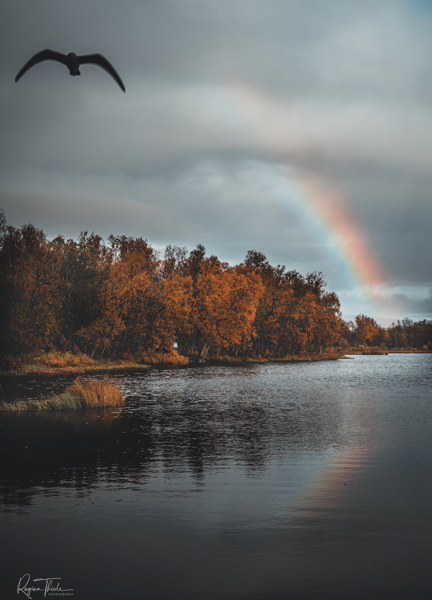 Prestvannet Tromsö / Norwegen