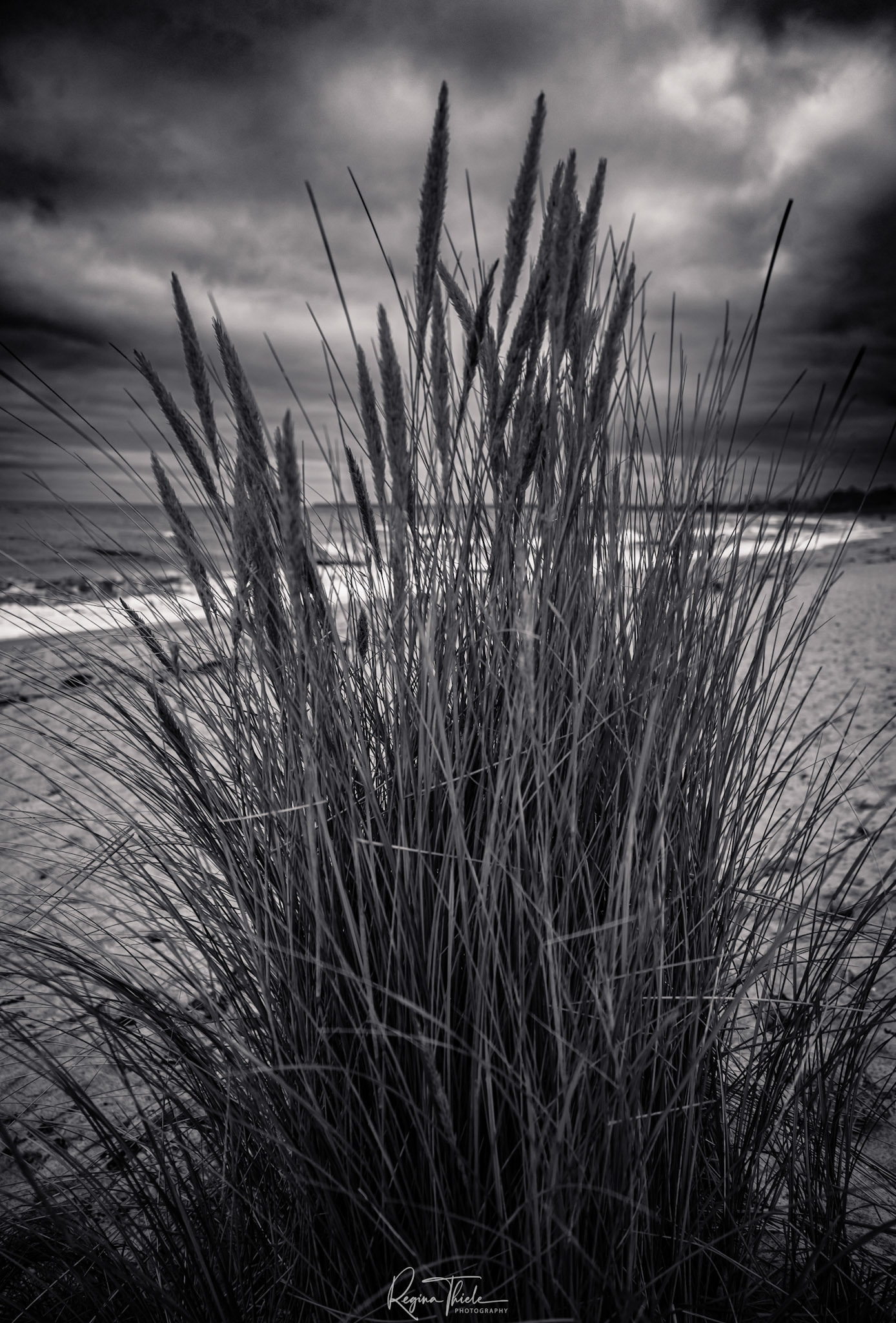 Hohe Düne, Warnemünde / Deutschland