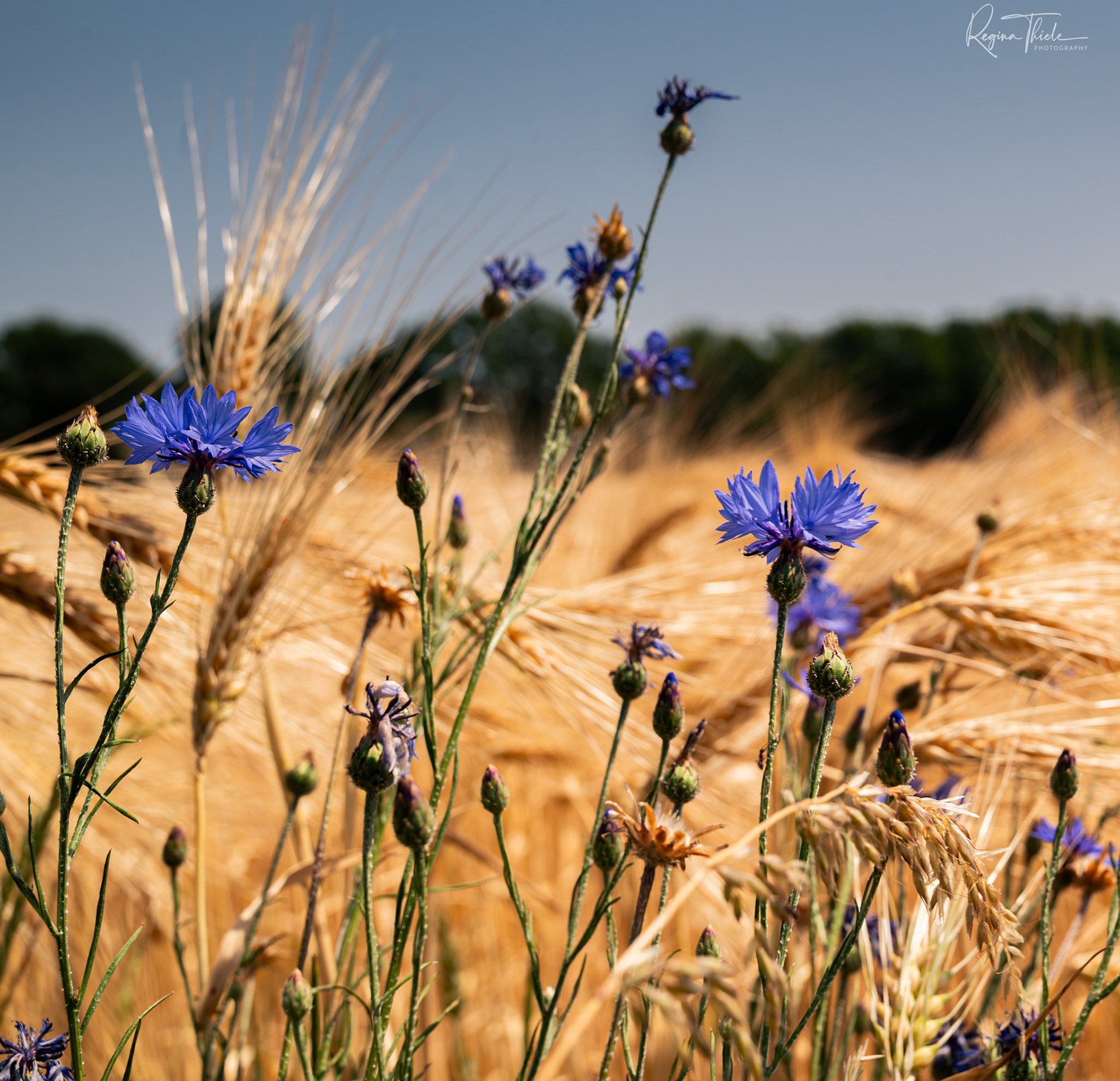 Sachsen / Deutschland