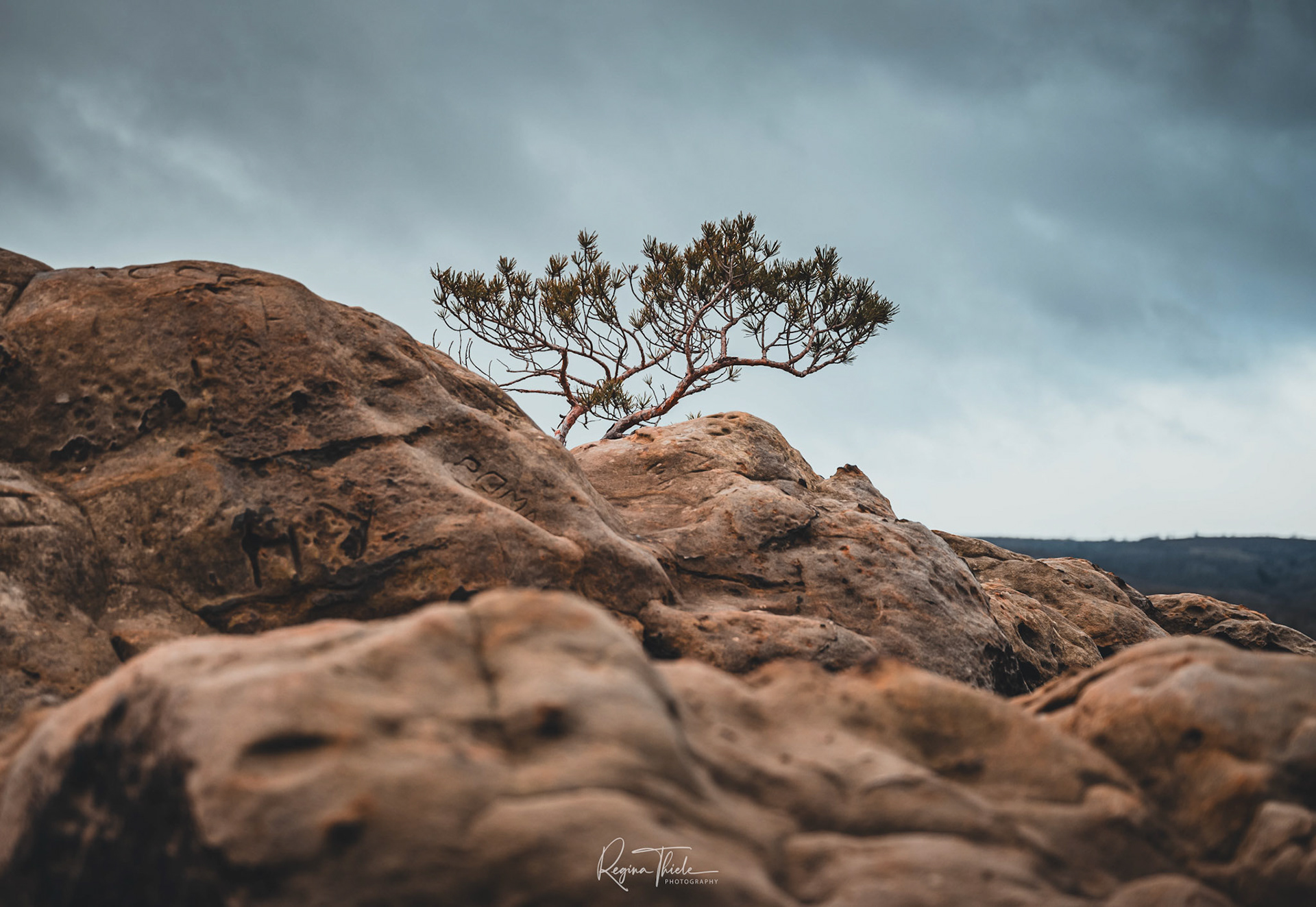 Teufelsmauer Harz / Deutschland