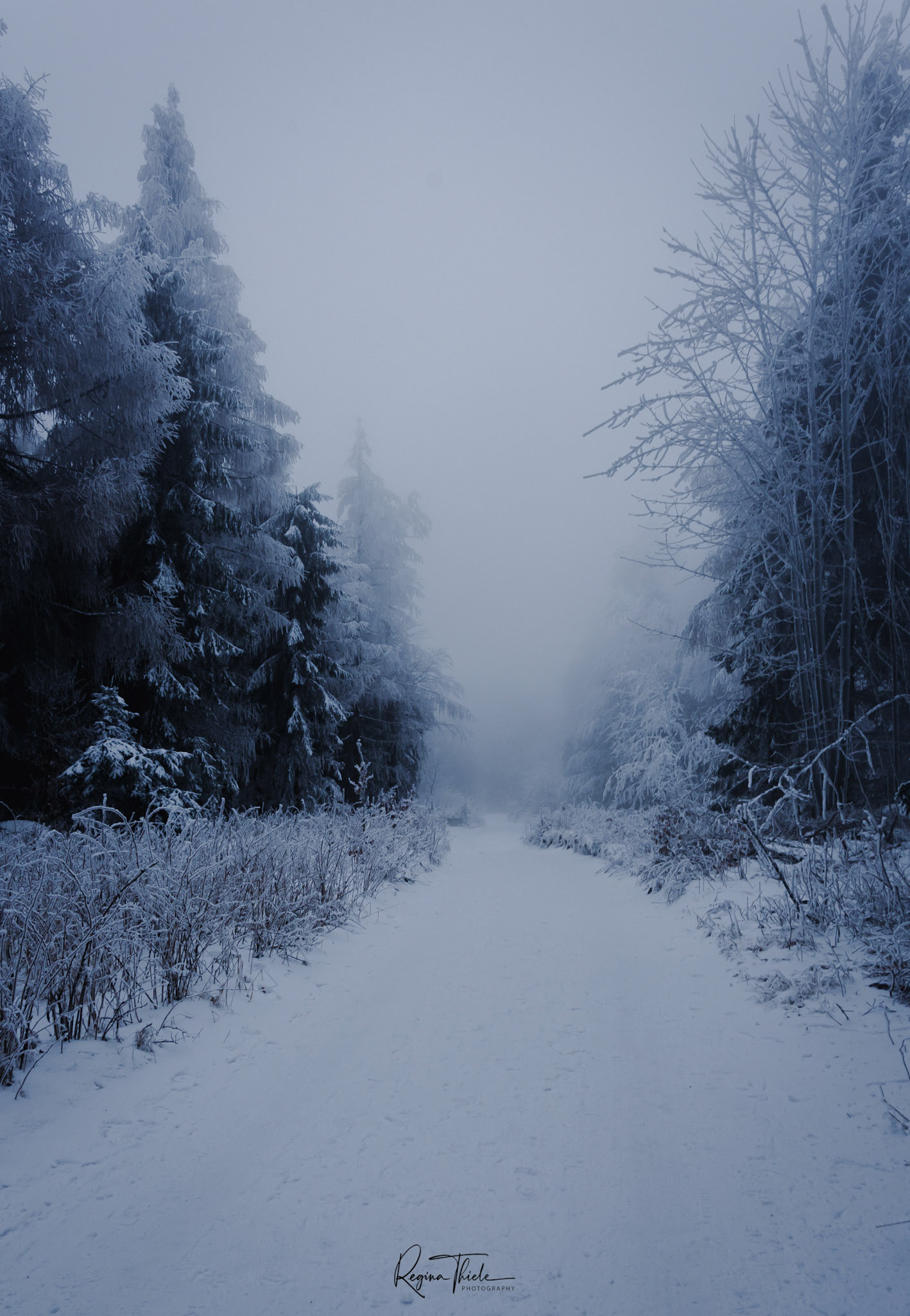 Zittauer Gebirge / Deutschland