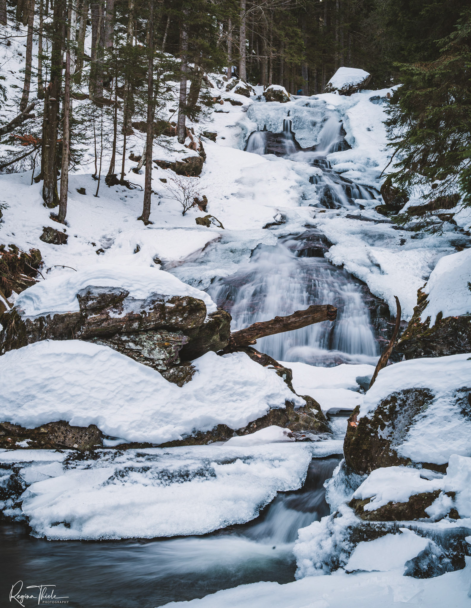 Rieslochfälle 3 / Deutschland