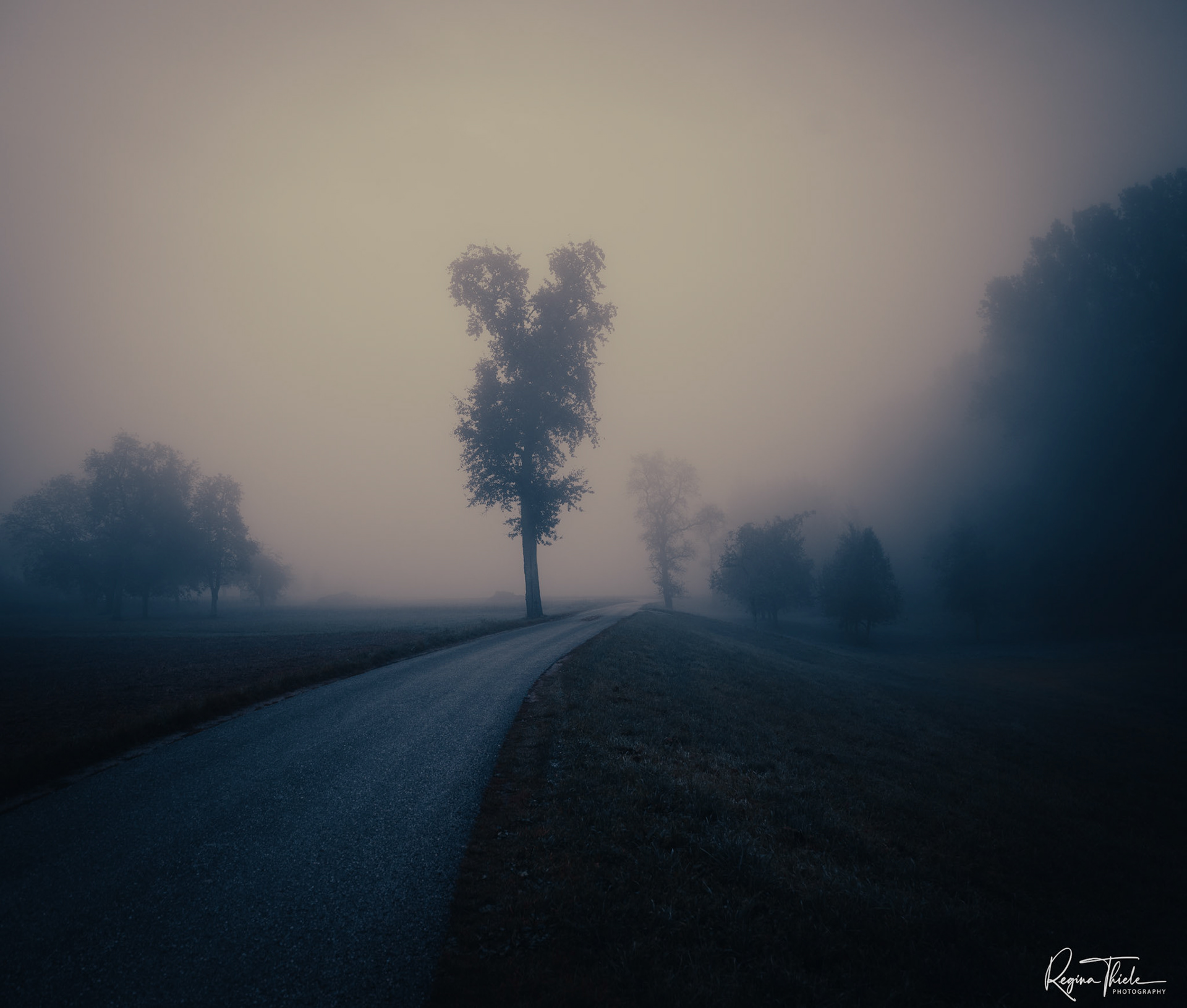 Donauradweg / Österreich