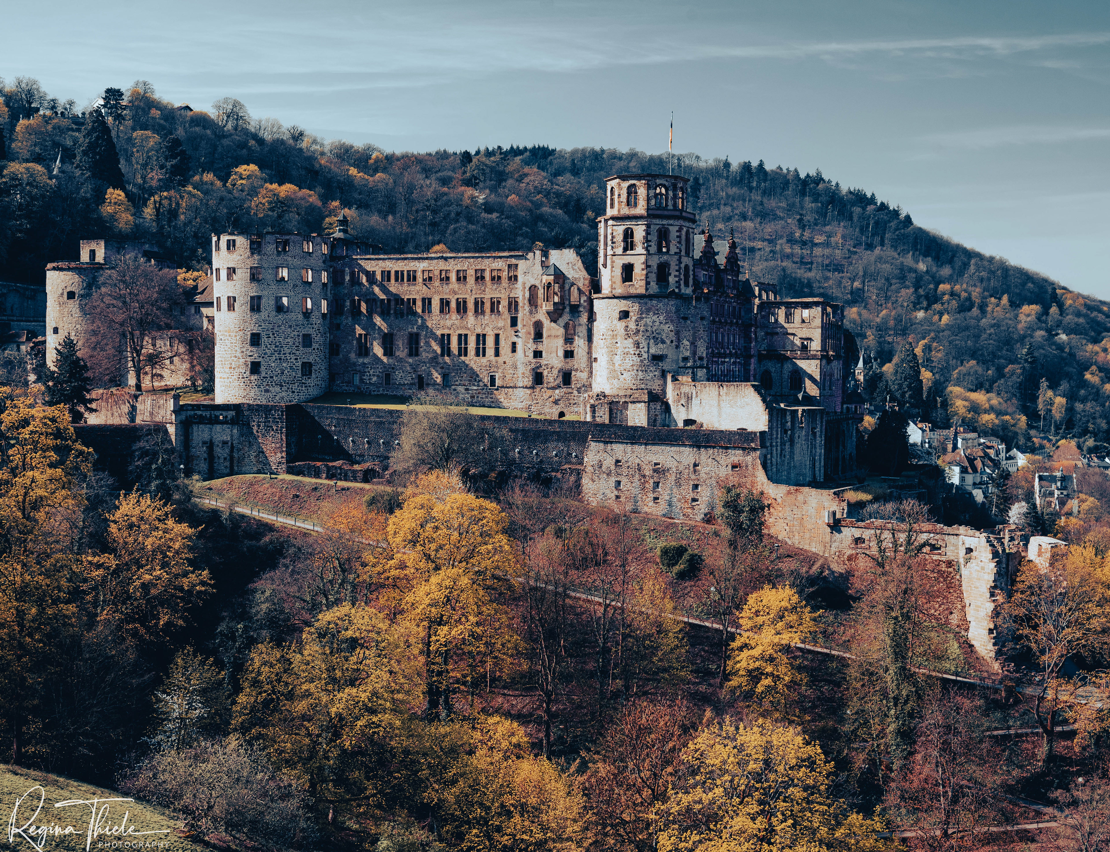 Schloss Heidelberg / Deutschland