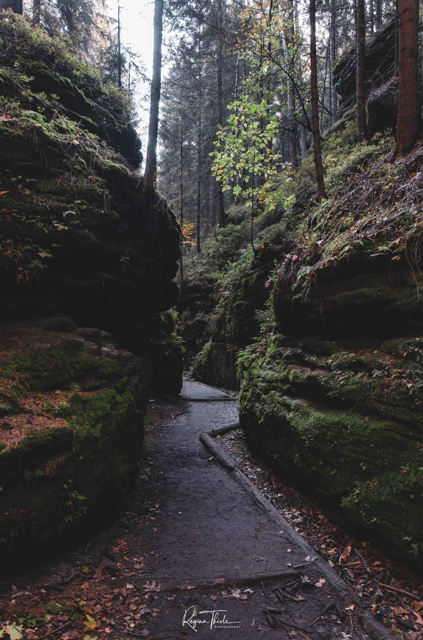 Sächsische Schweiz / Deutschland