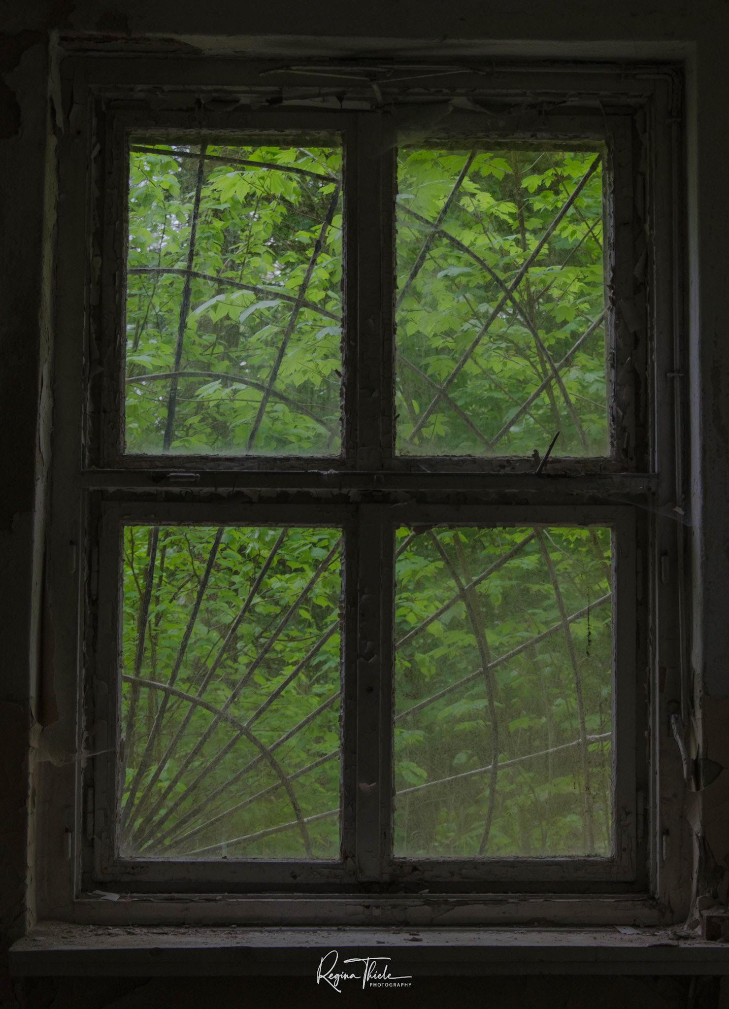 Wünsdorf / Deutschland