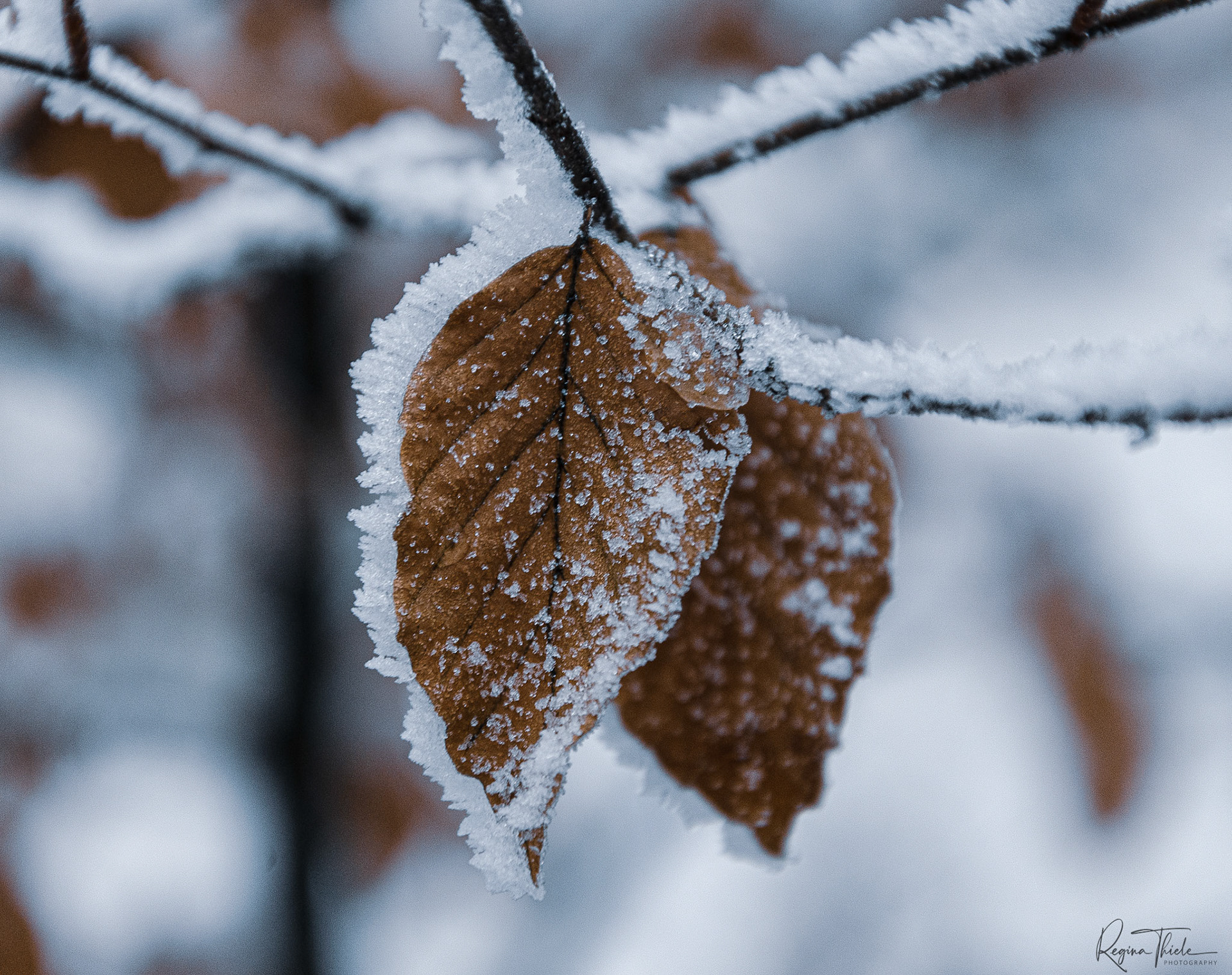Schnee / Deutschland