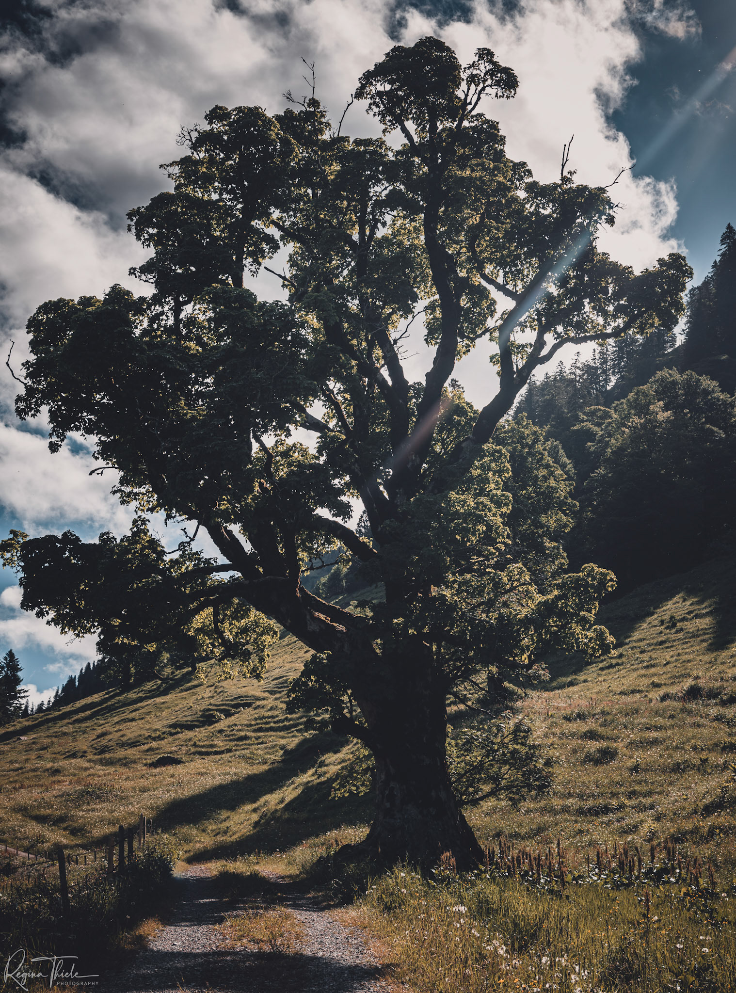 Bayrische Alpen / Deutschland