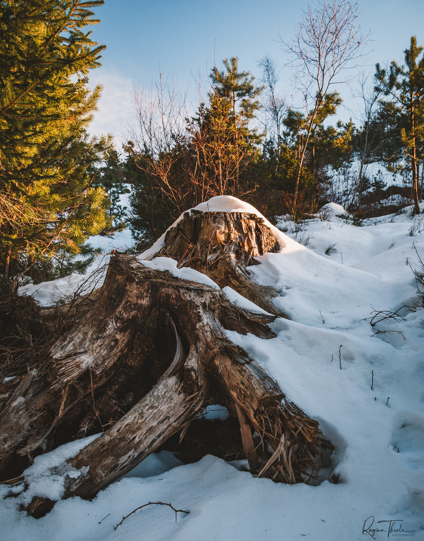 Silberberg 7 / Deutschland
