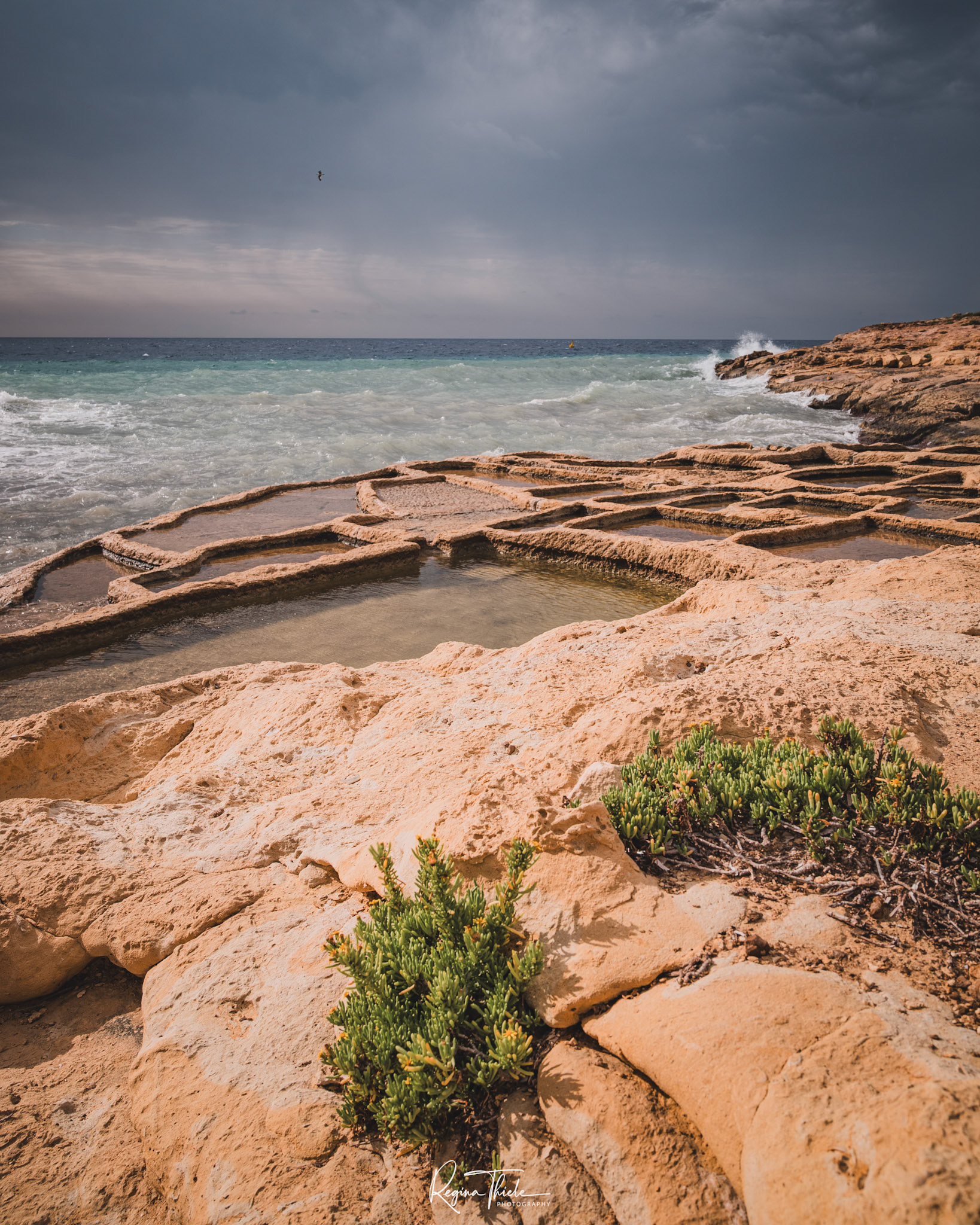 Coastal Walk II / Gozo