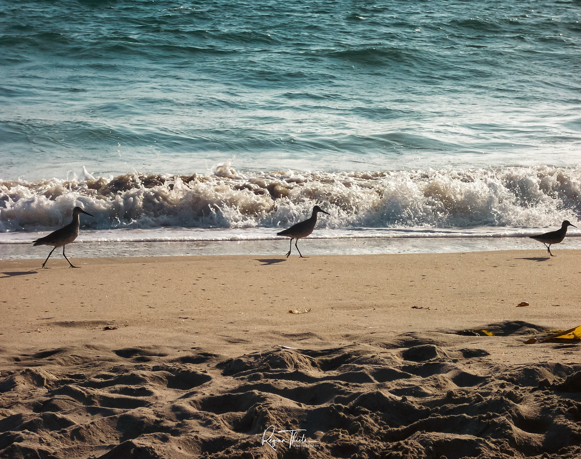 Strand in Los Angeles / Kalifornien, USA