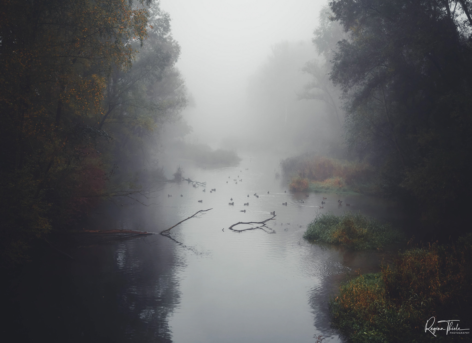 Donauradweg / Österreich