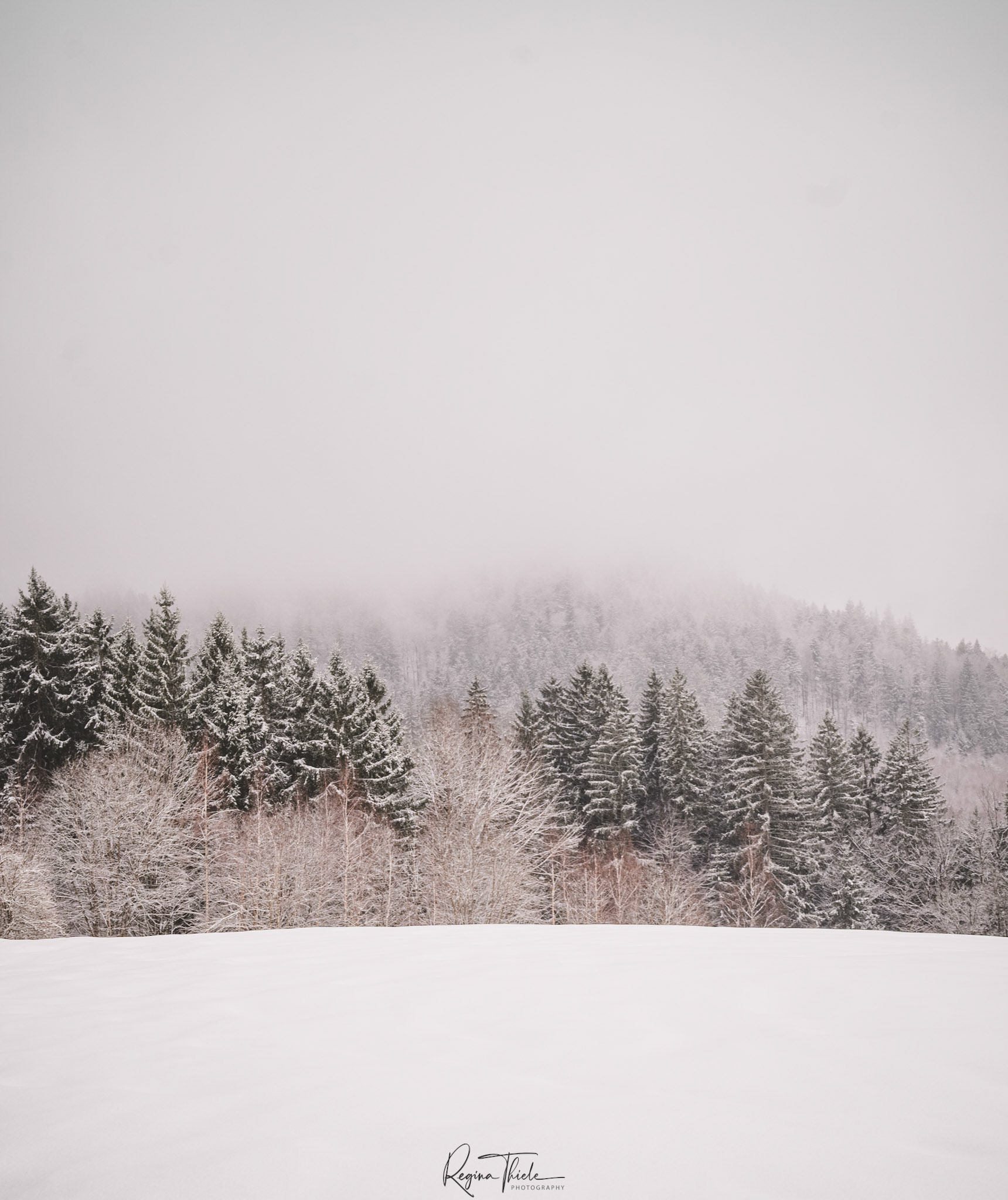 Winterwald Bodenmais 2 / Deutschland