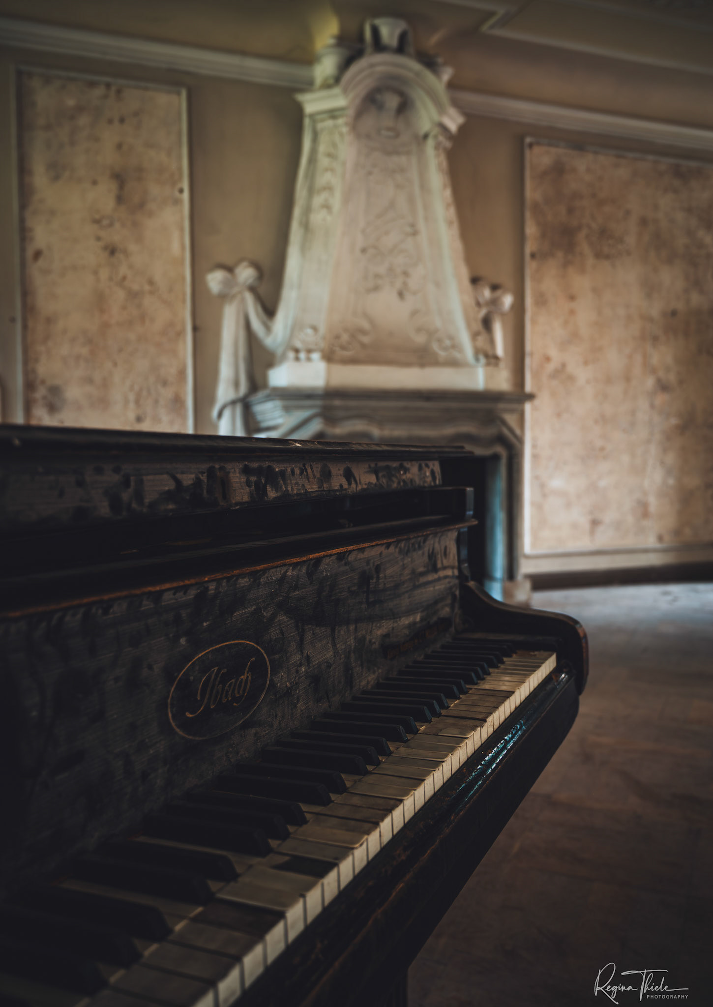 Wasserschloß Salon / Deutschland