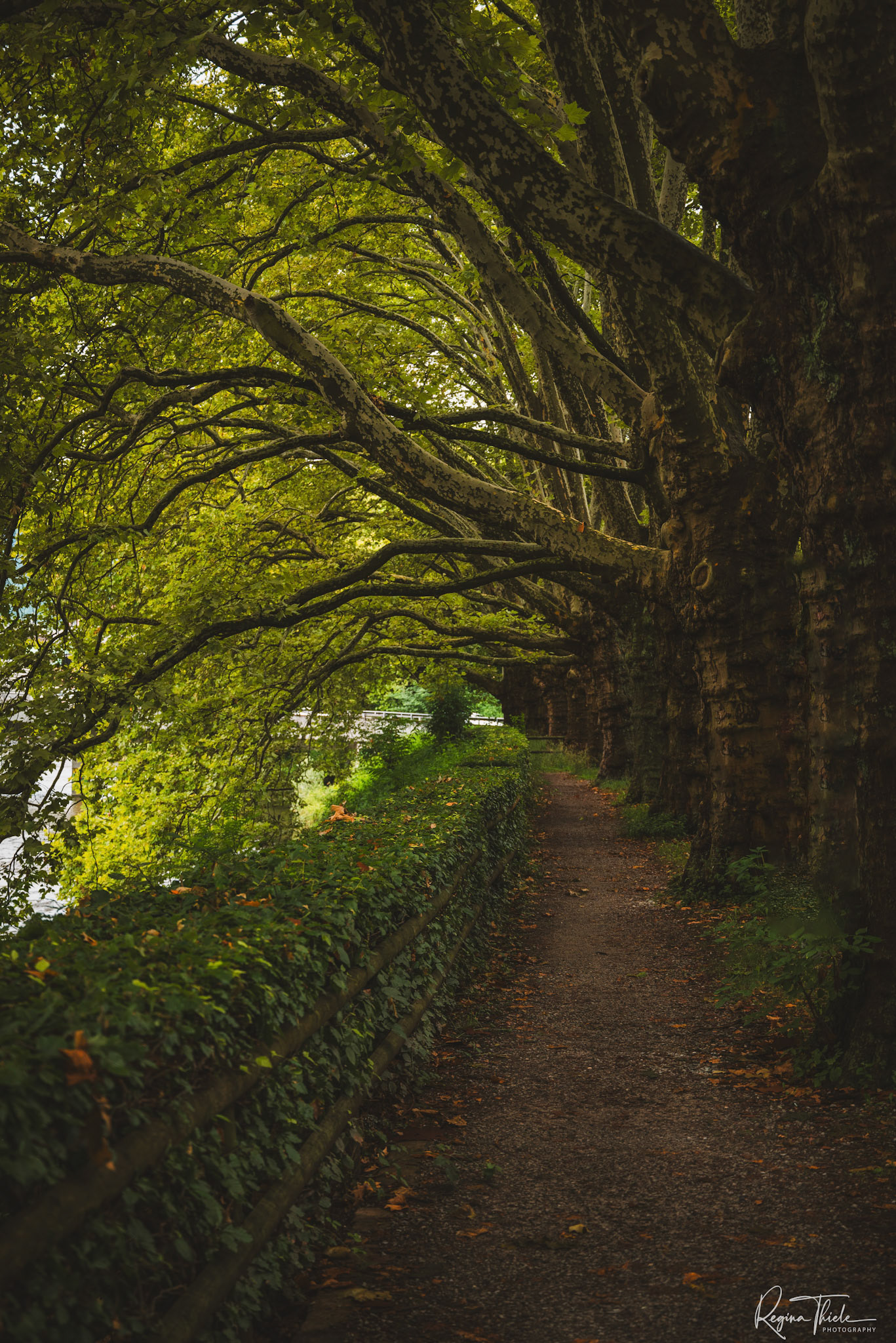 grüne Oase in Zürich / Schweiz