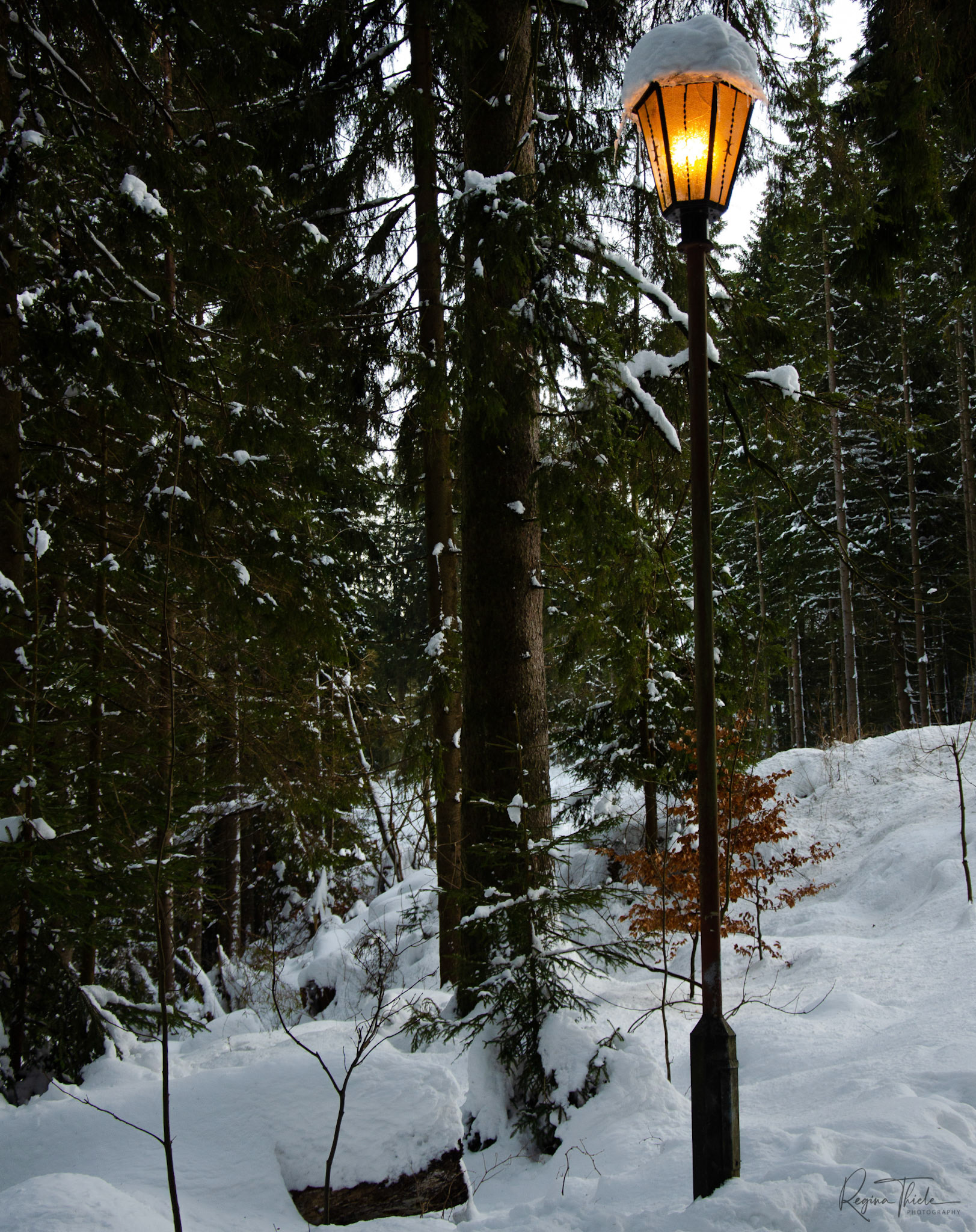 Schierke, Harz / Deutschland
