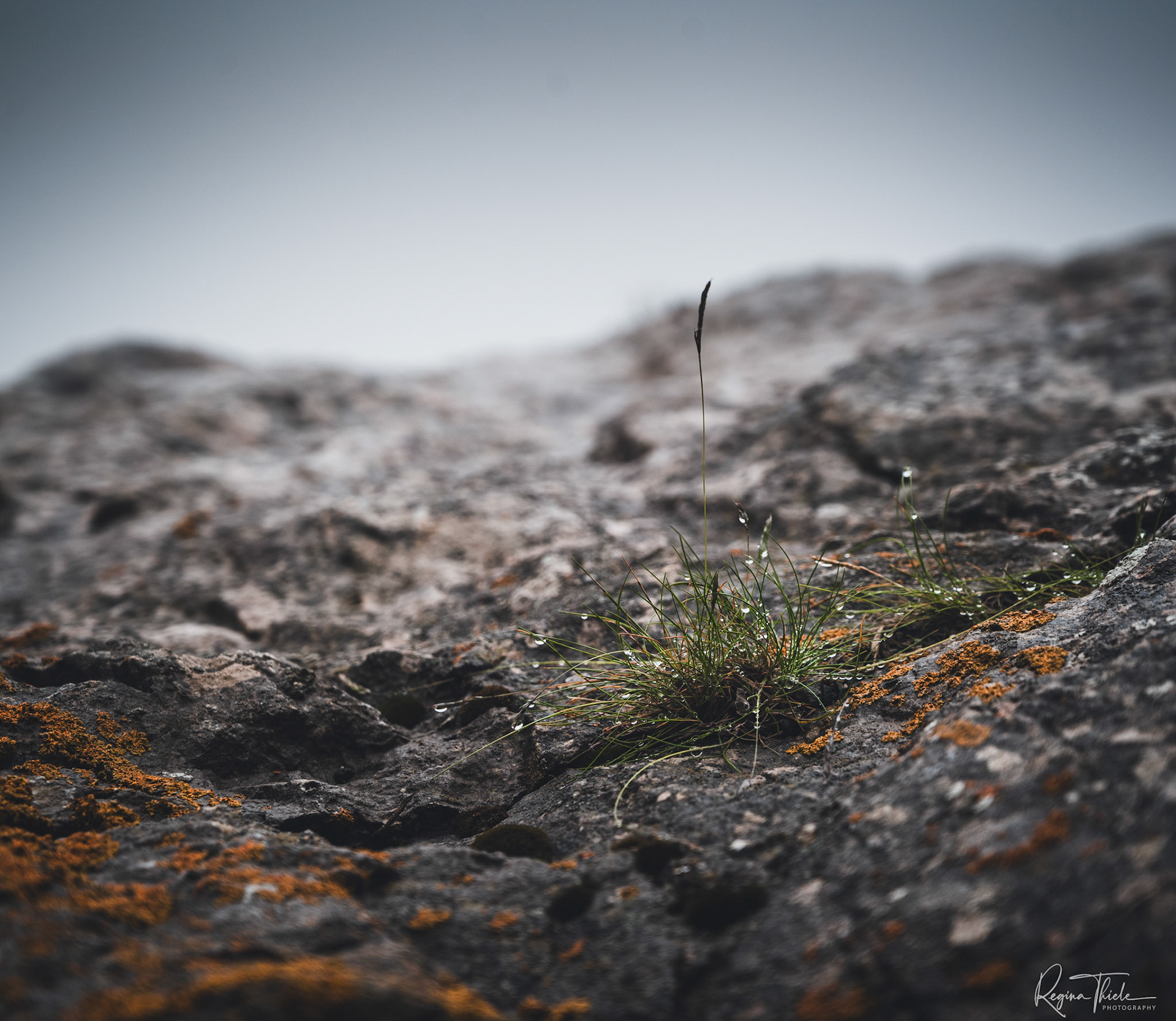 Pilatus Bergstation / Schweiz