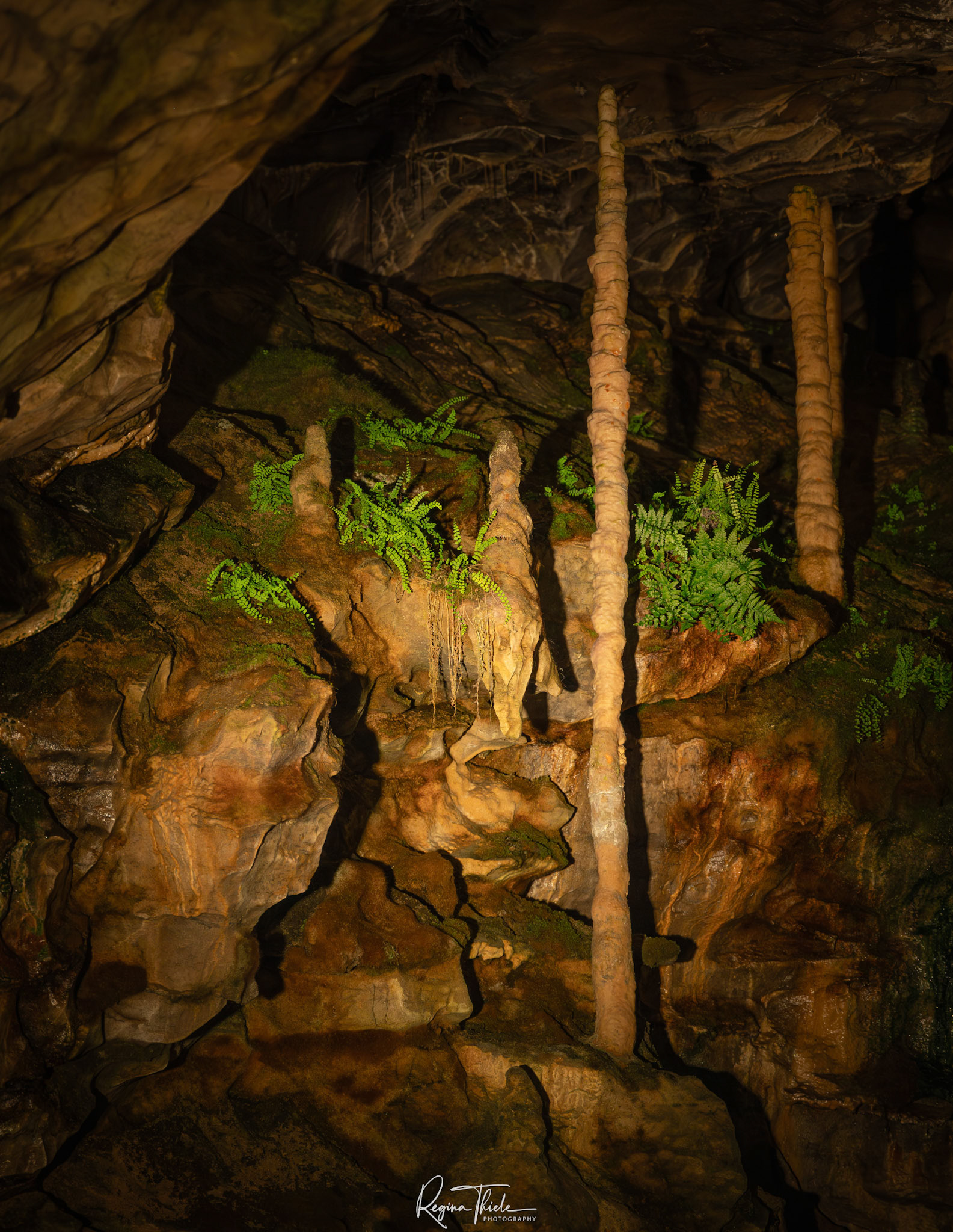 St. Beatus Höhlen / Höhlen