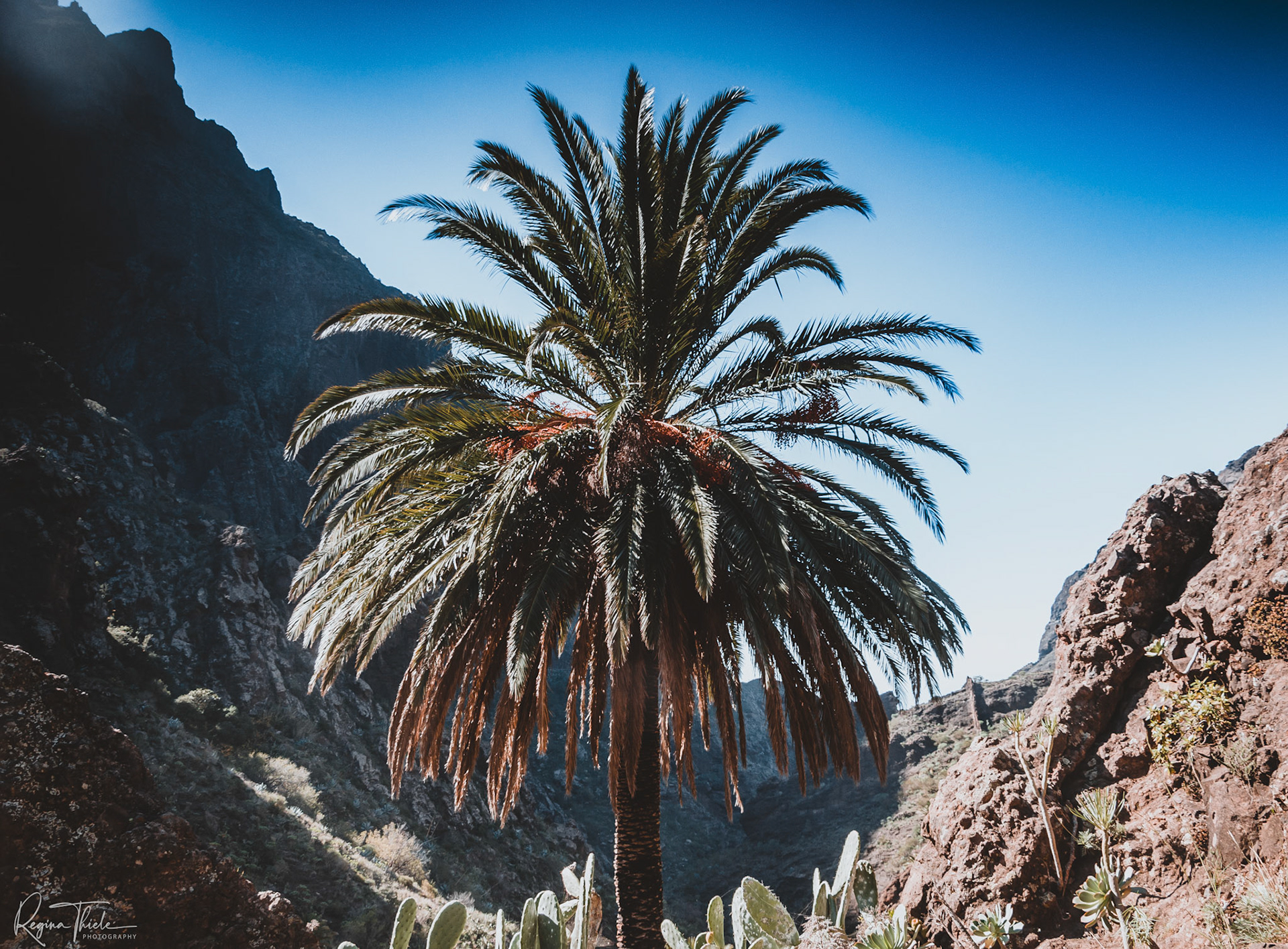 Masca-Schlucht, Teneriffa / Spanien