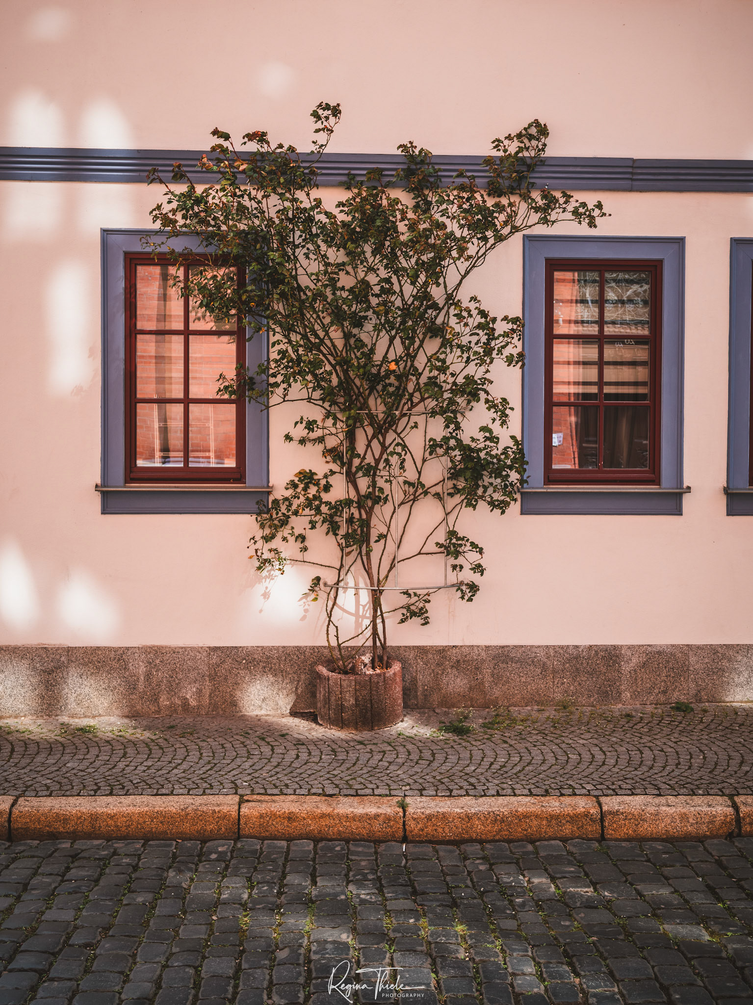 Altstadt Erfurt 2 / Deutschland