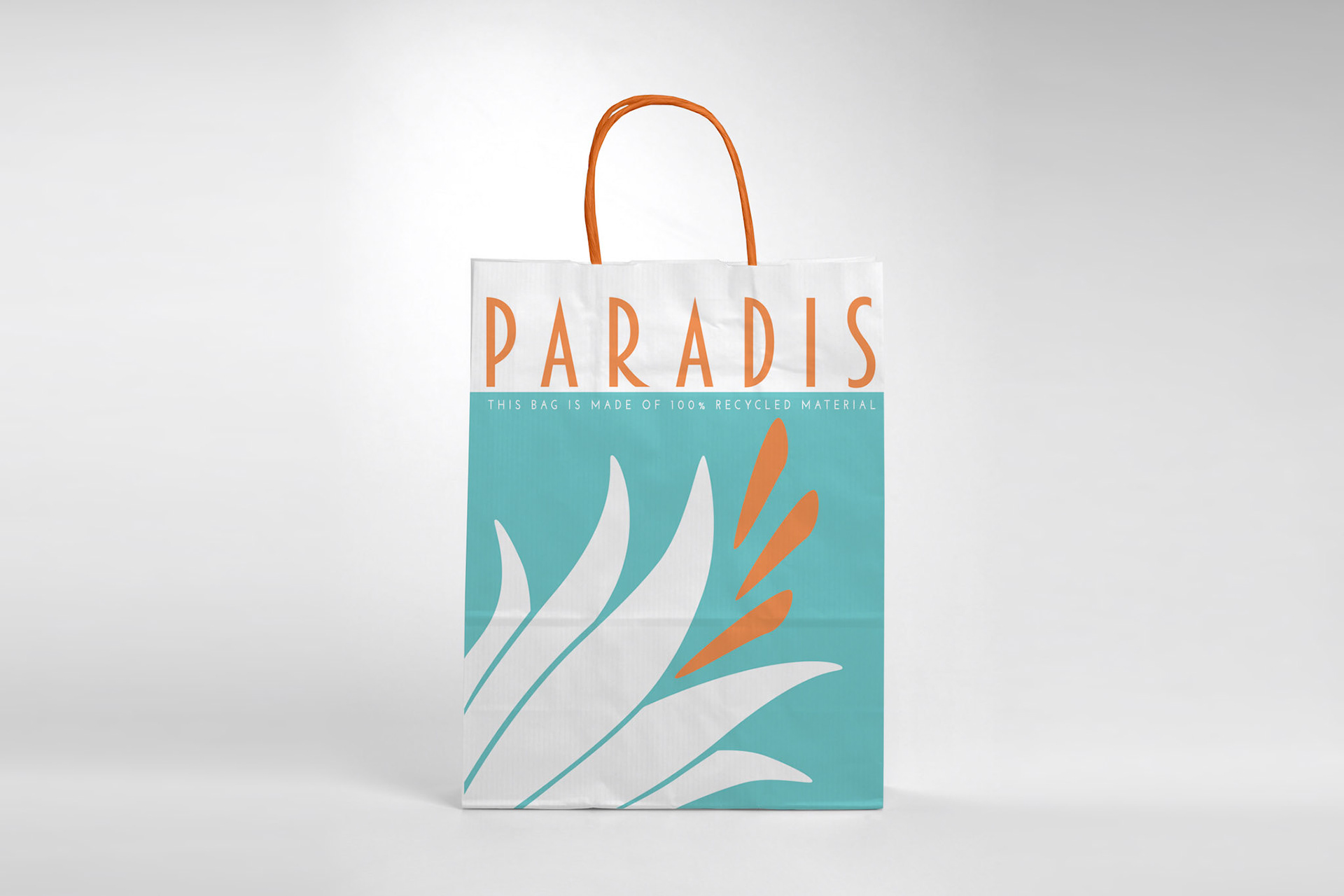 Mock-up for branded in-store shopping bag (Digital, 3100px X 2000px, 2022)