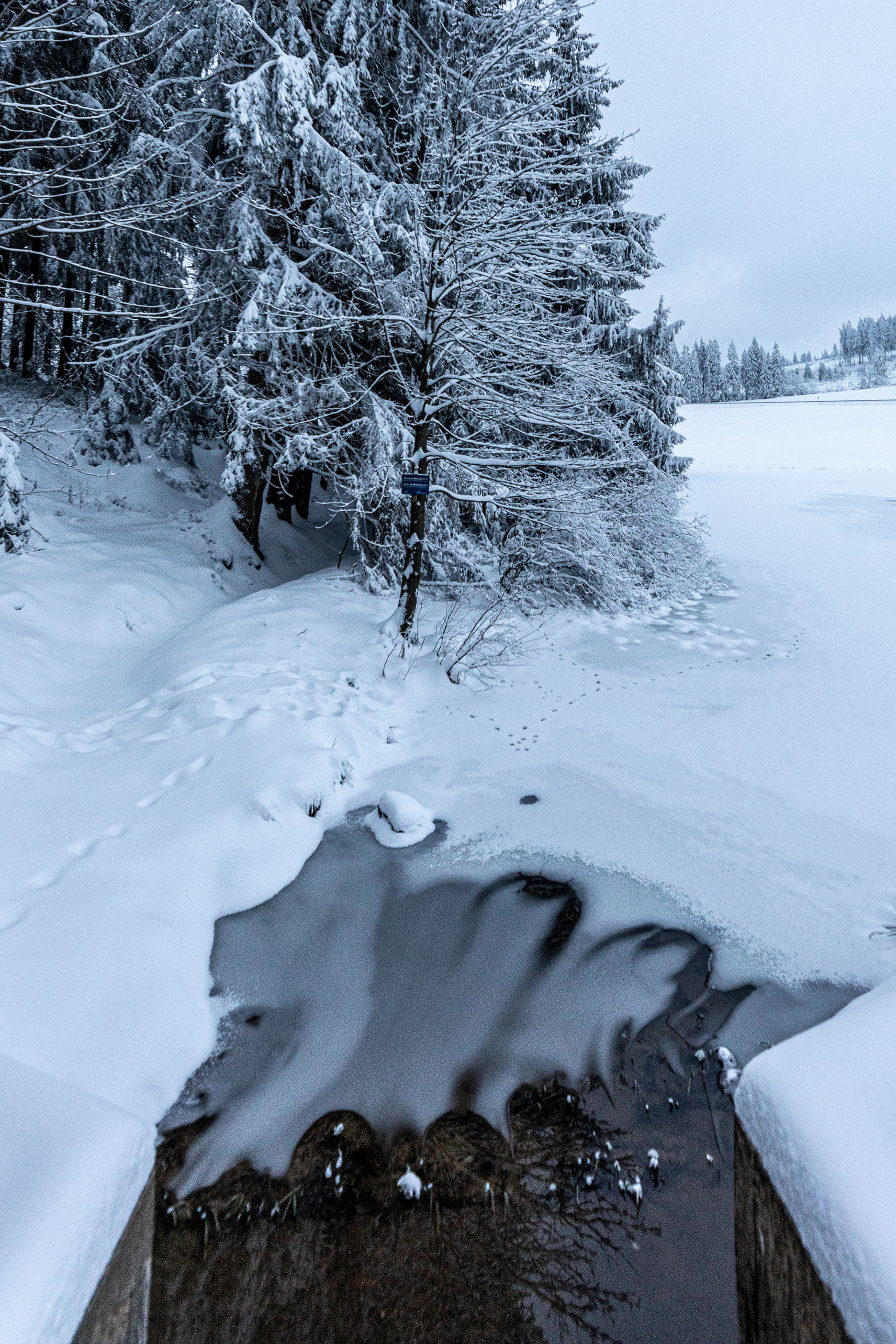 Winter II