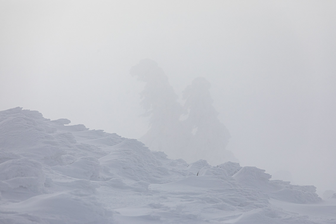 Nach dem Wintersturm