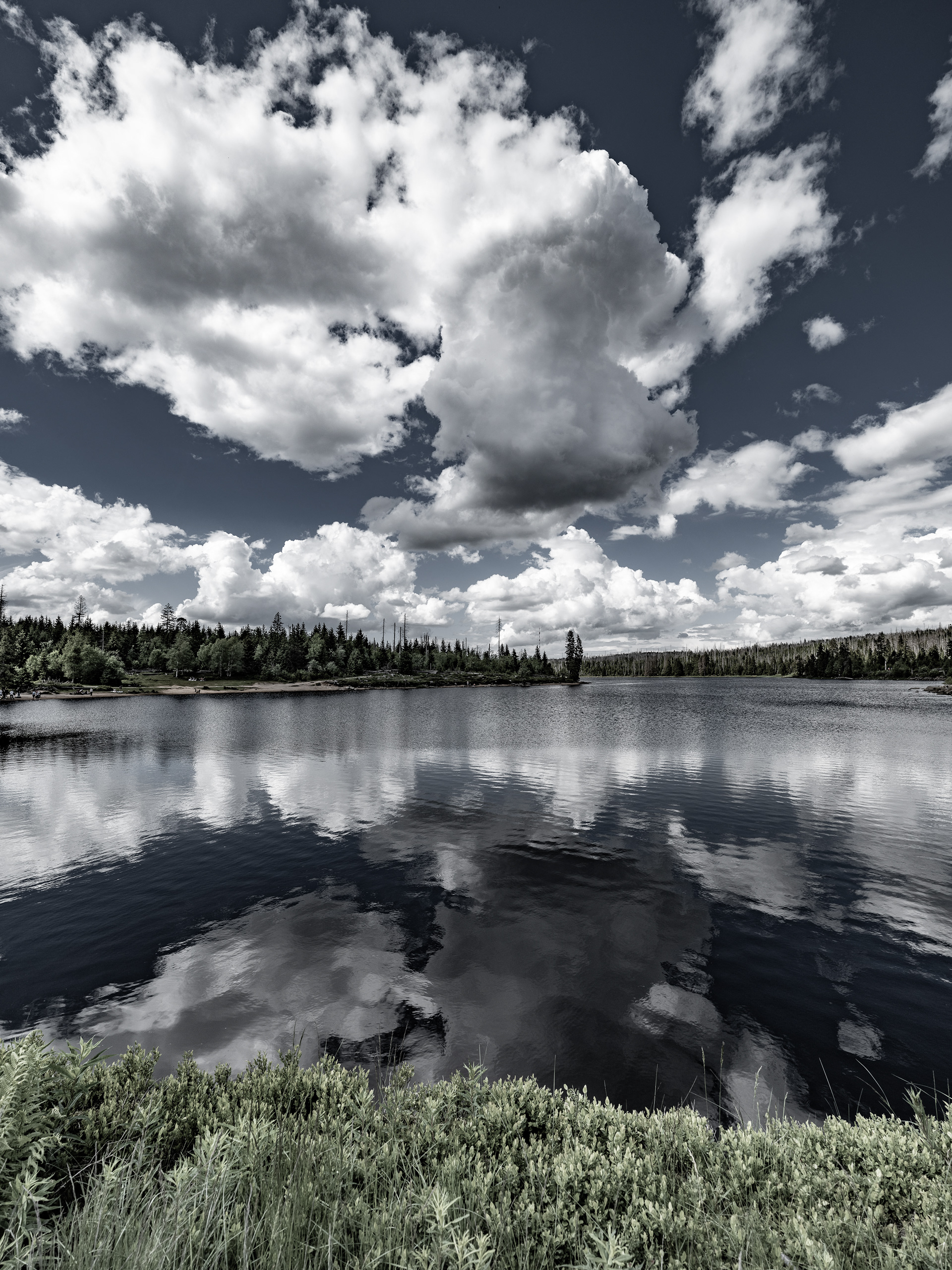 Oderteich I