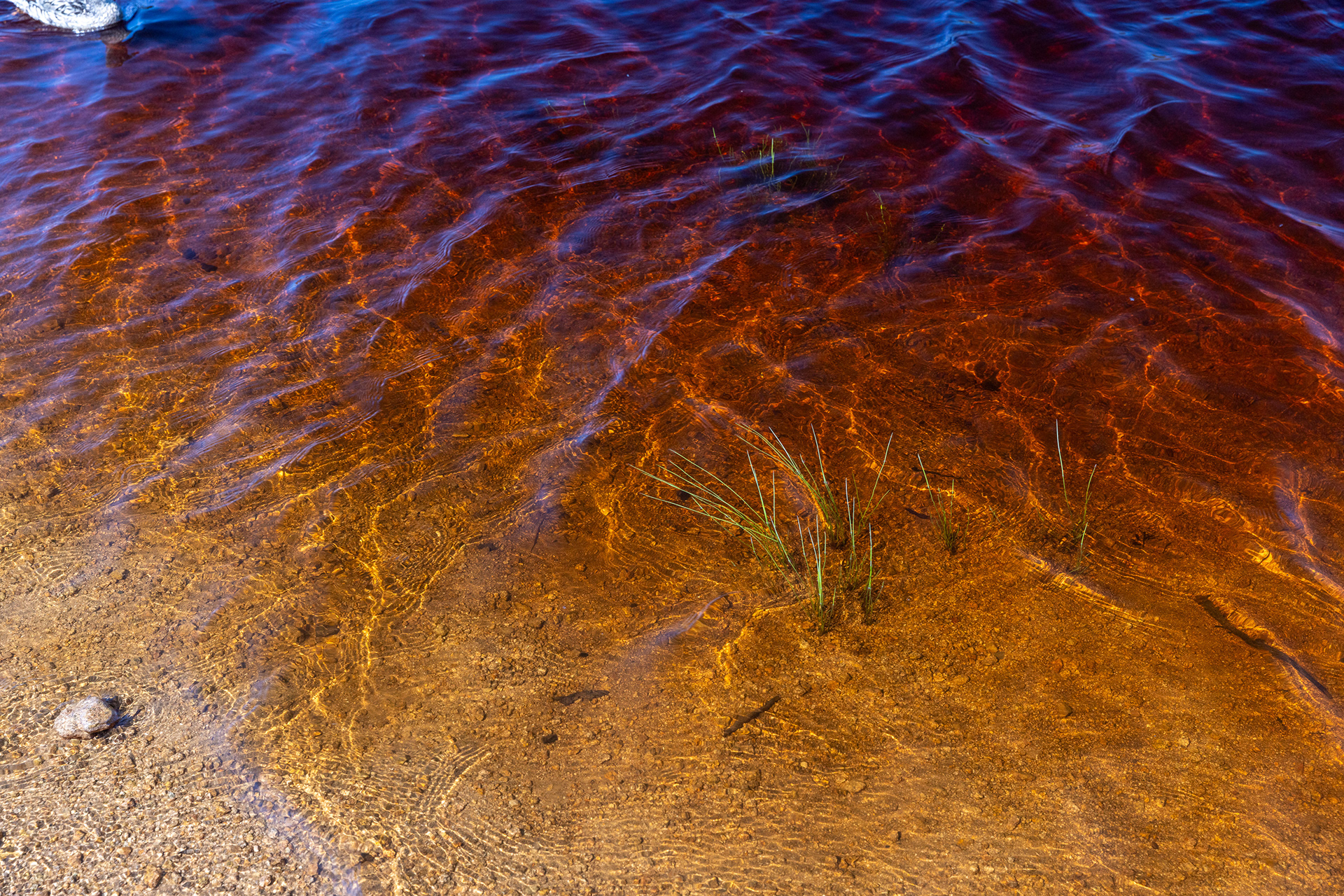 Oderteich III