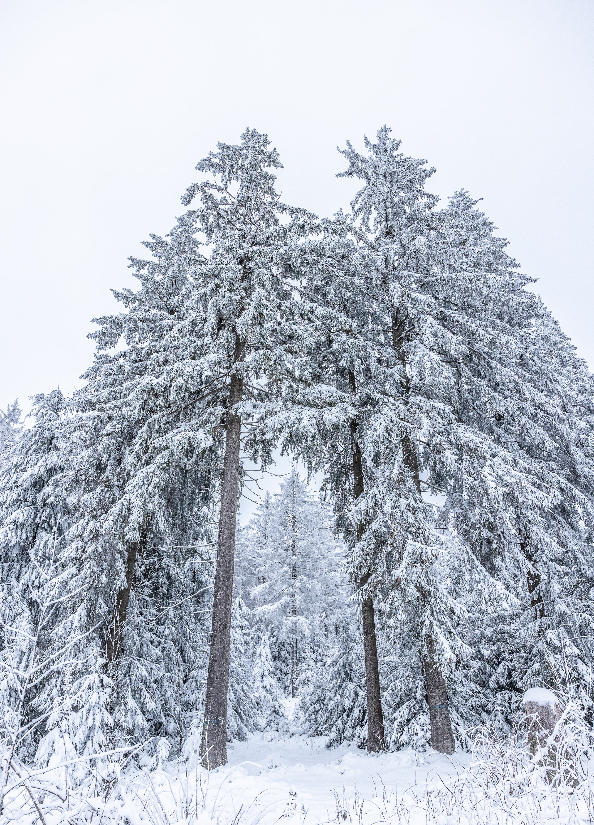 Winter I