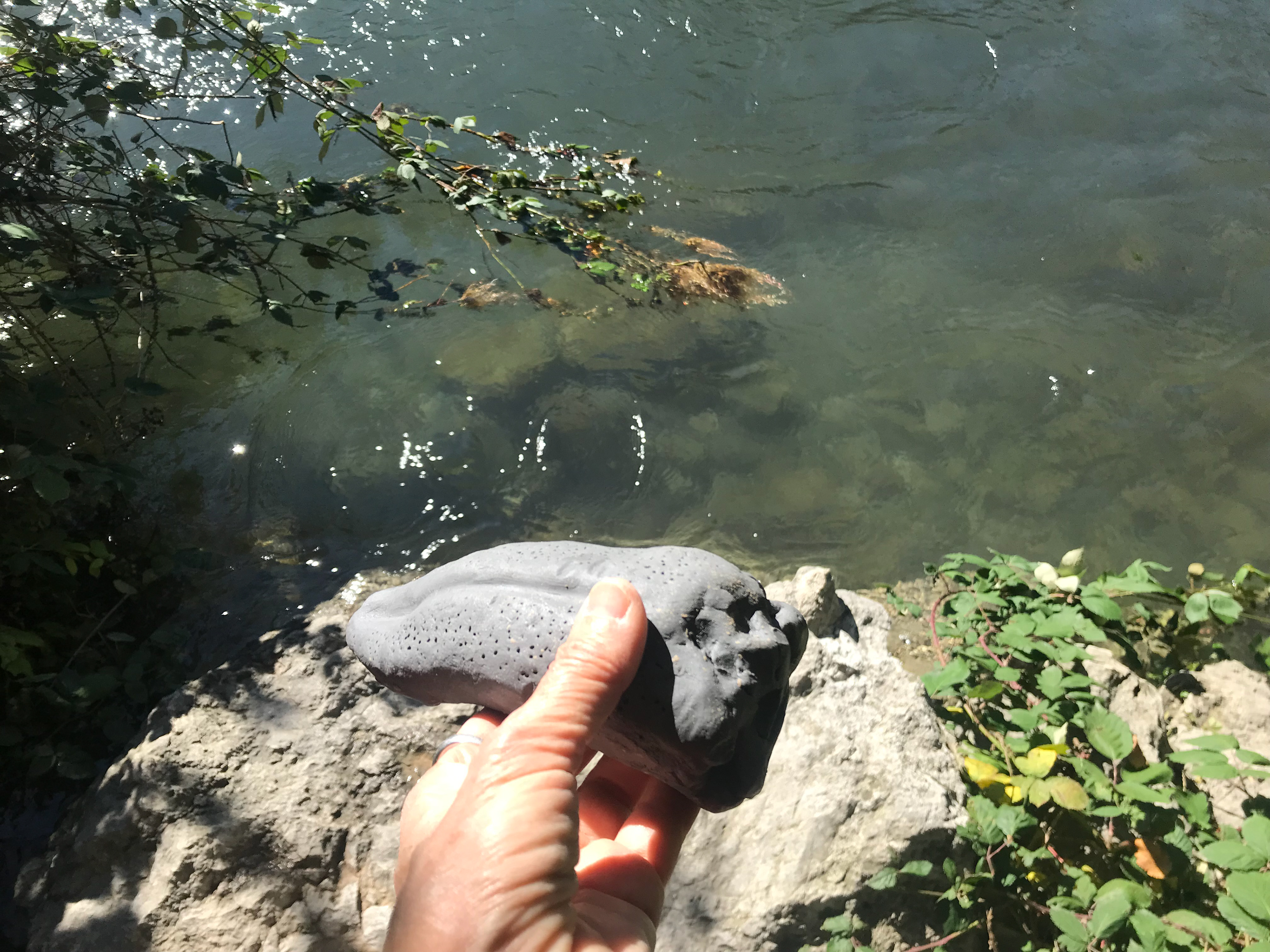 Zungenritual an der Limmat, 1