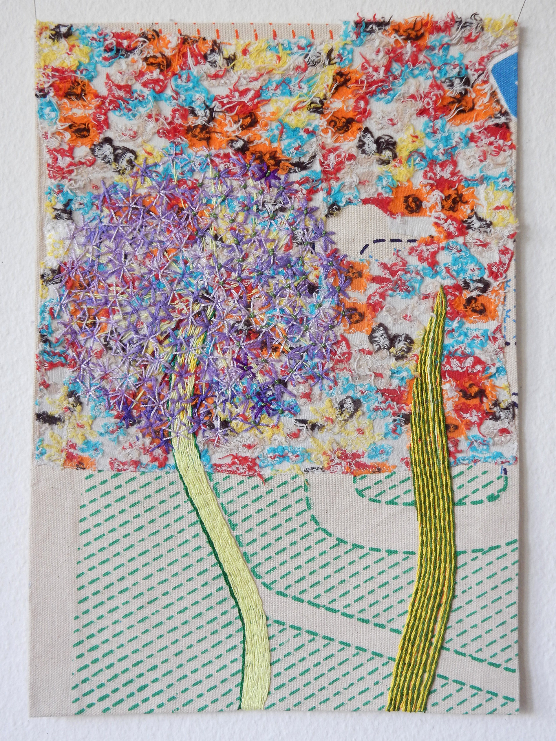 allium christophii 2, 2026