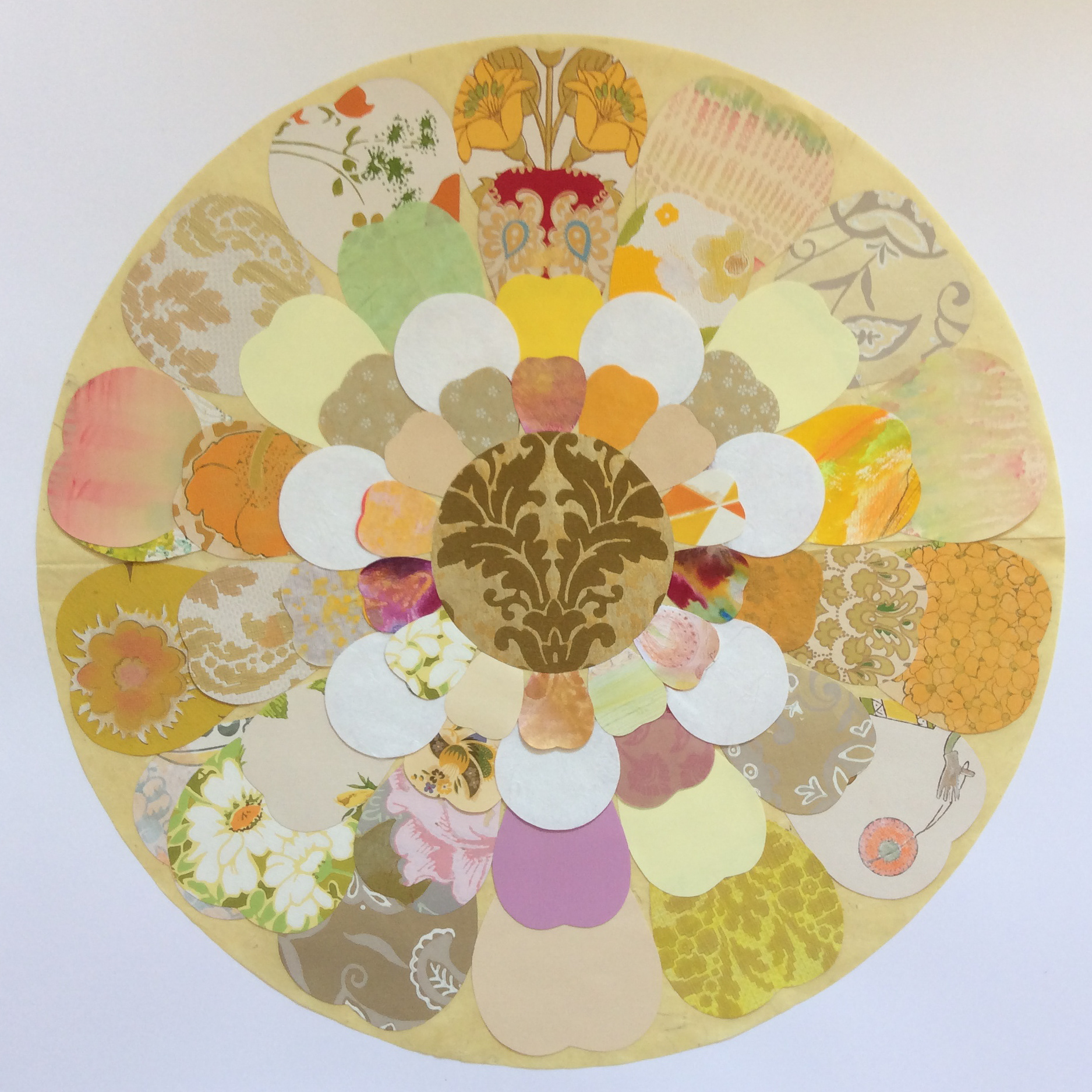 Rose gelb, 2015