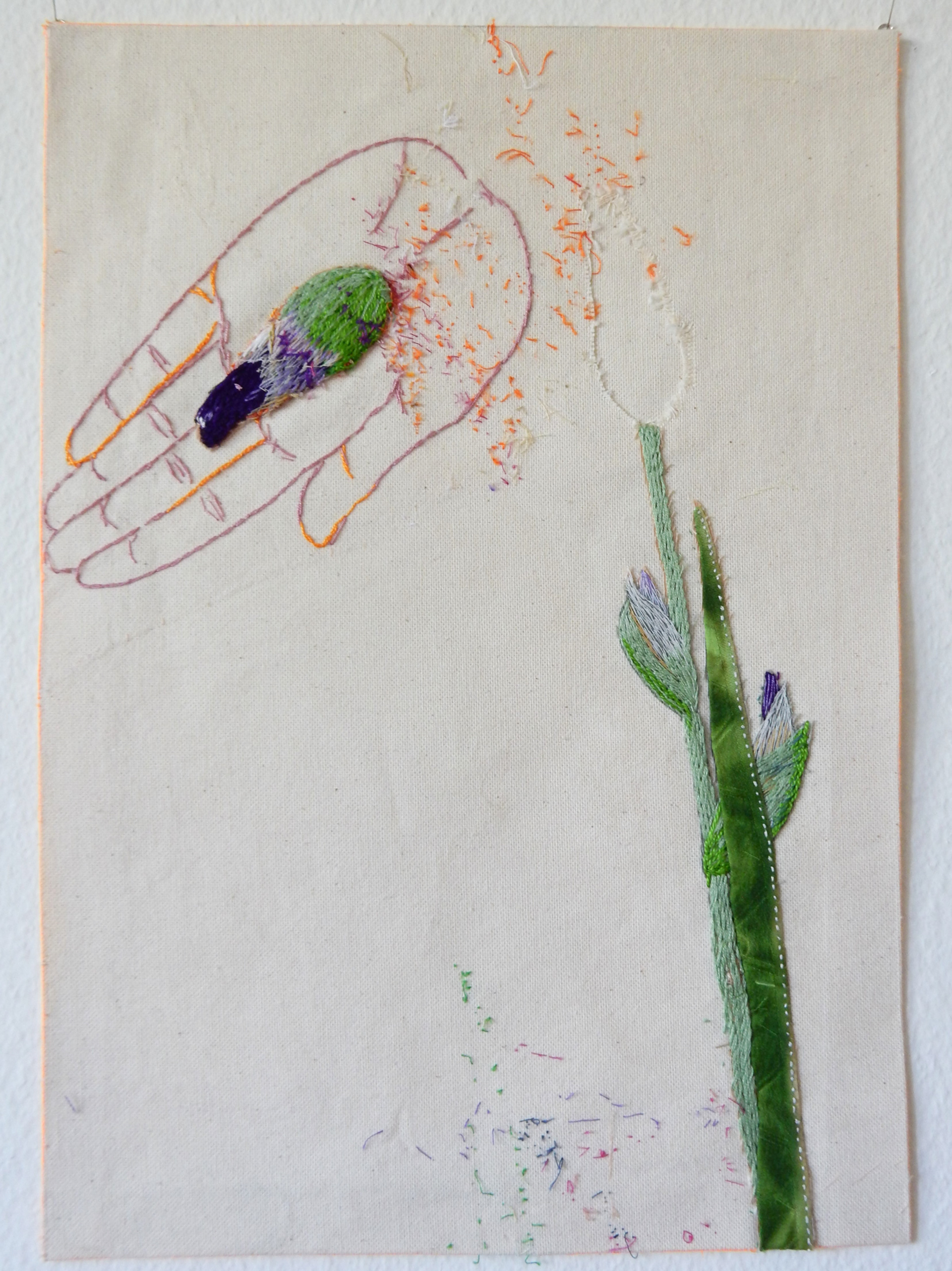 schwarze Iris, gebrochen, 2025