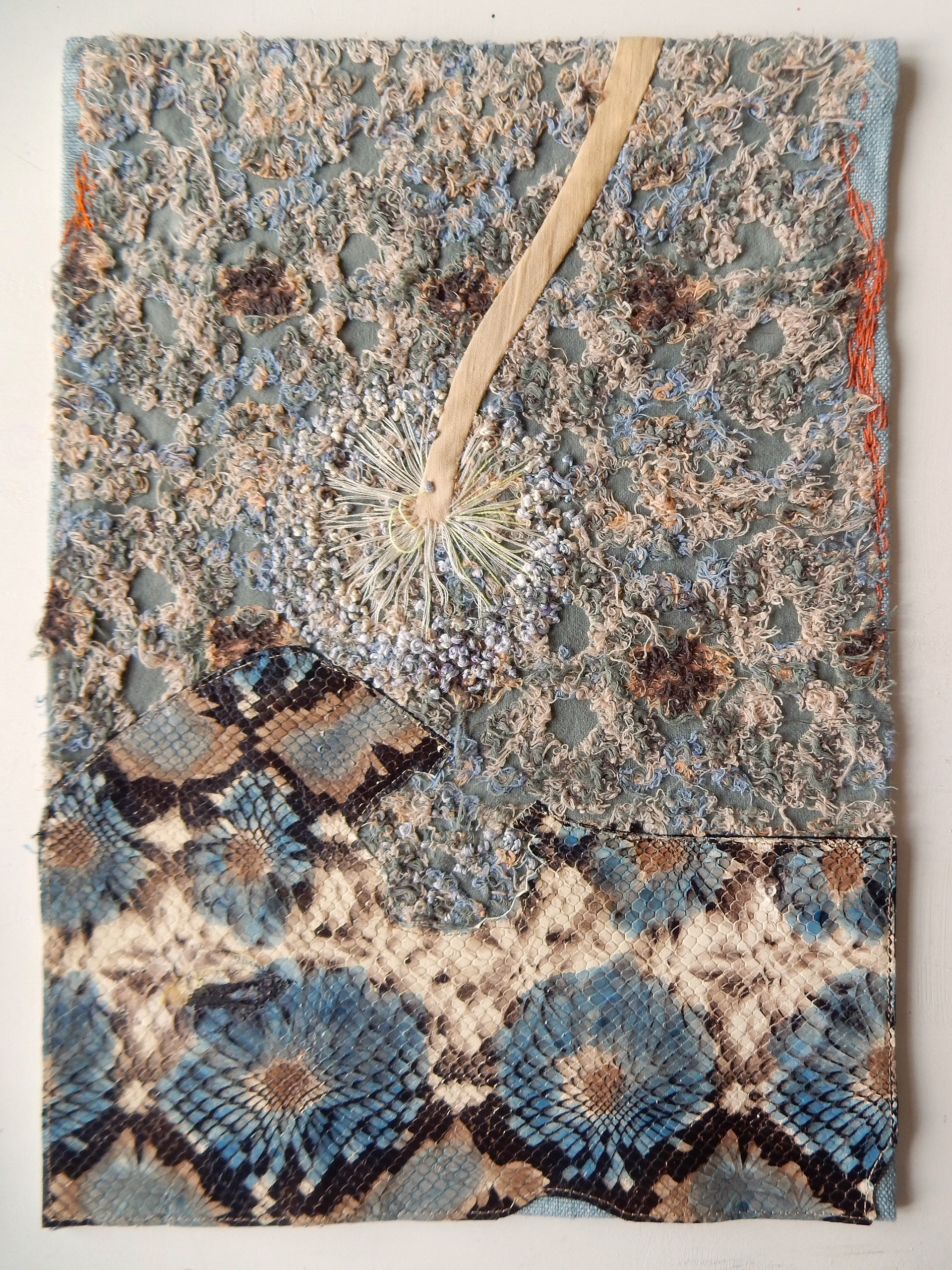 allium christophii, 2024