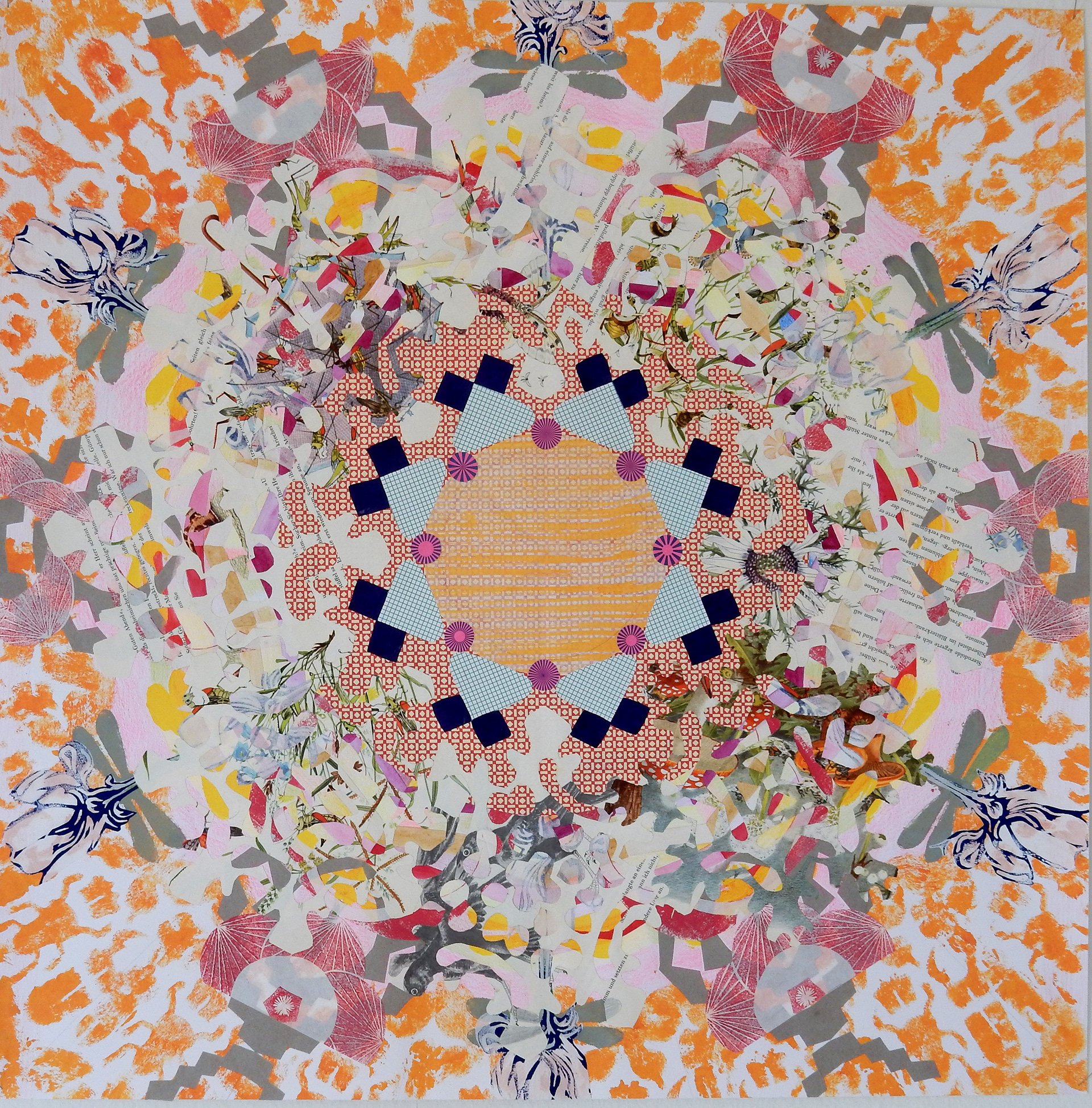 ausfliegen, 2015