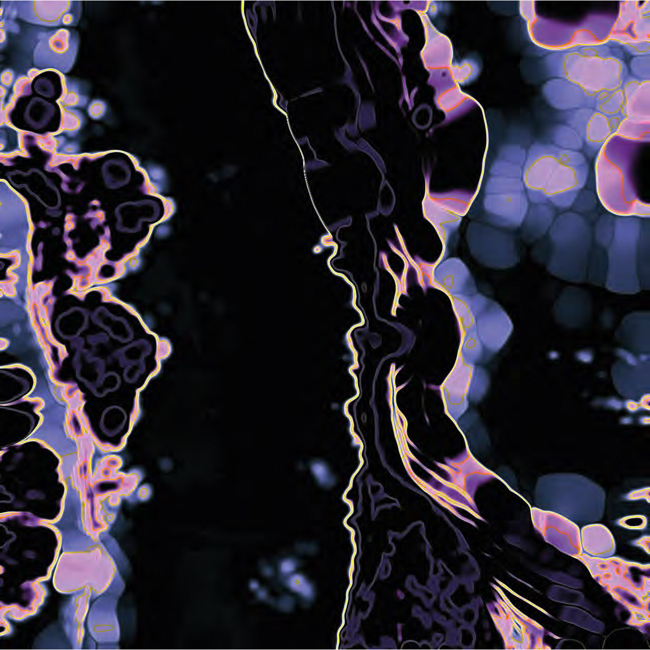 Impressions Visuals