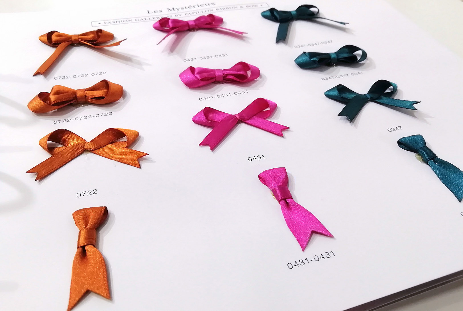 Book ornements de lingerie avec les échantillons (noeuds)